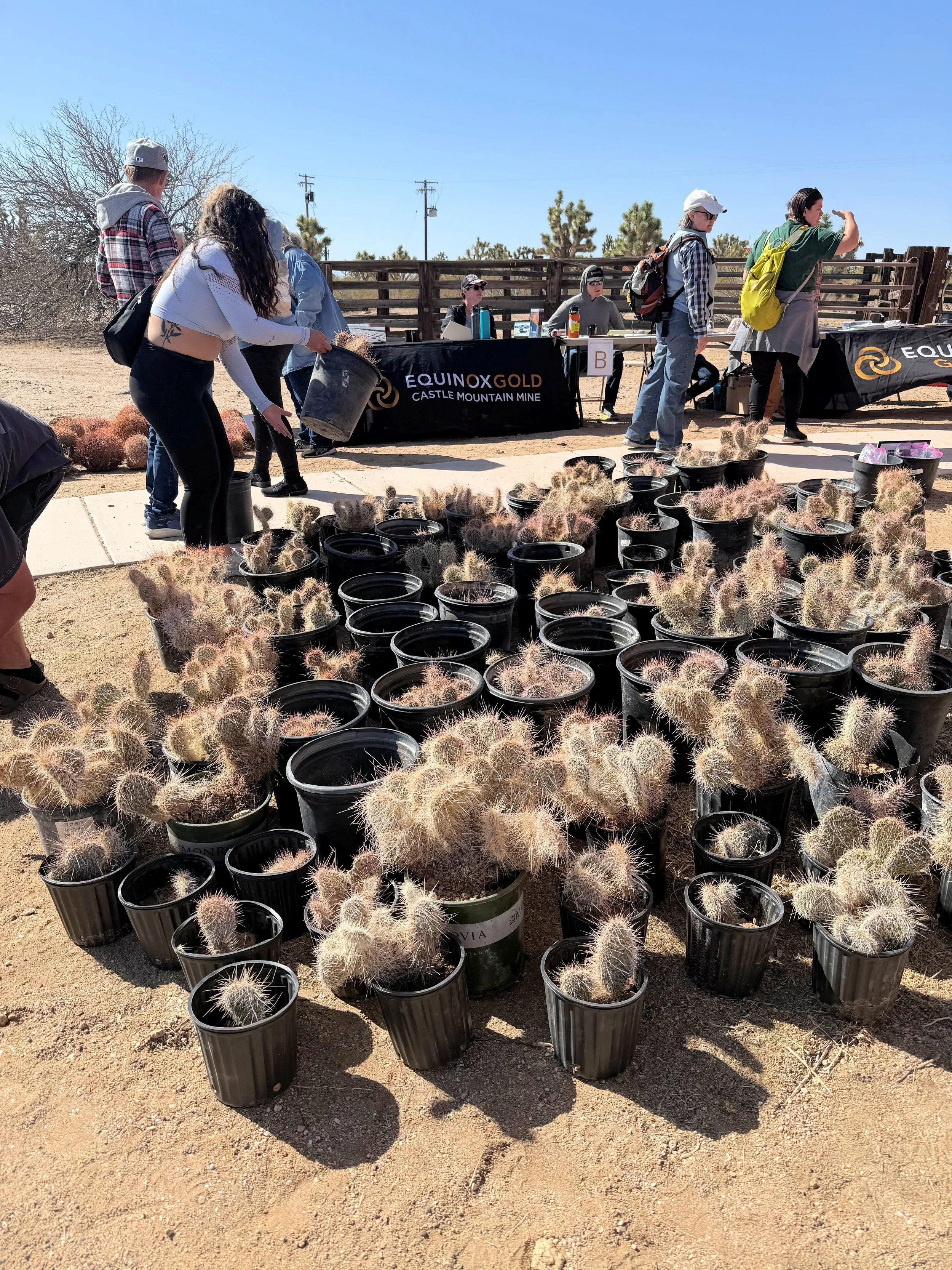 Saturday cactus give-away (2).JPG