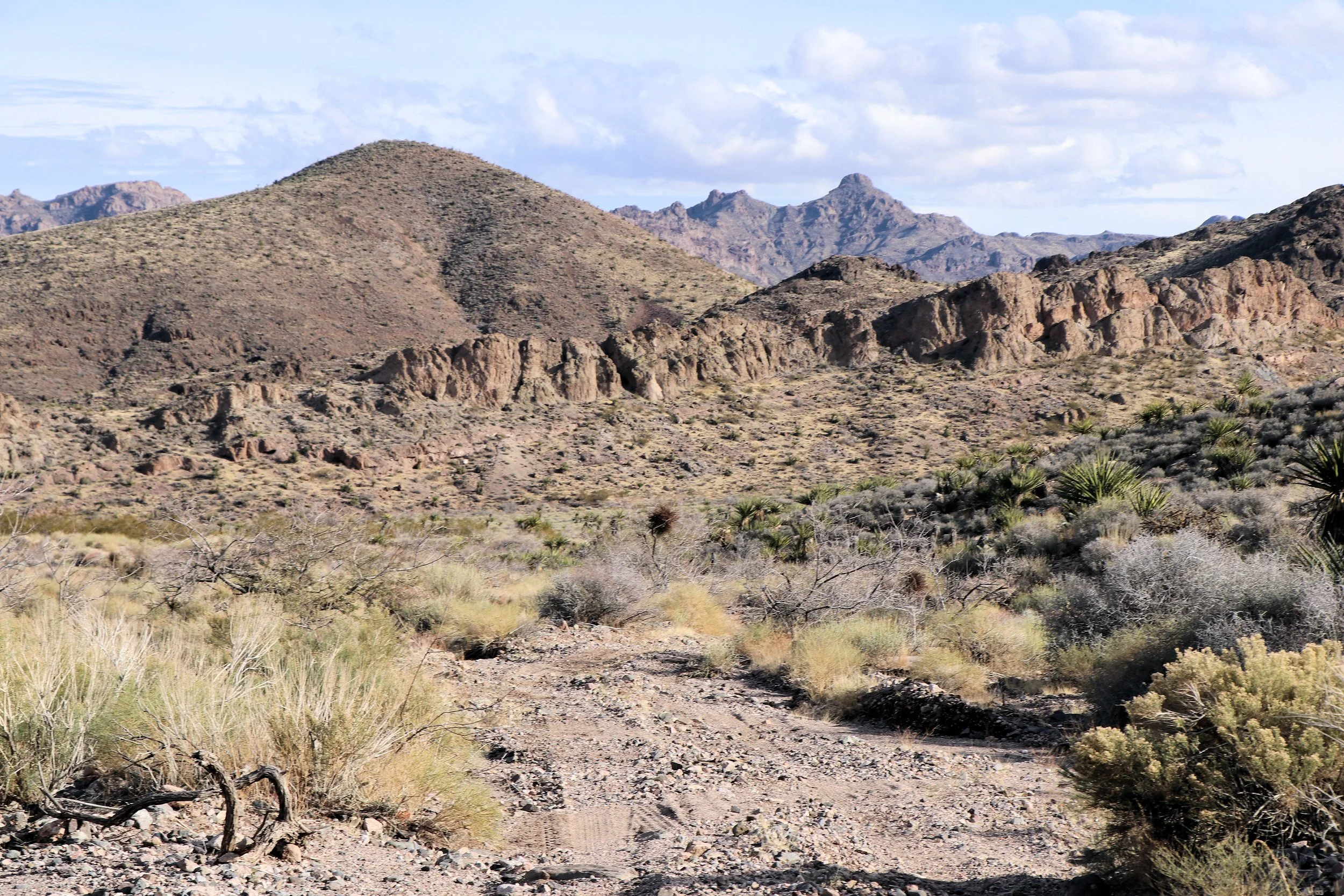 6. McCullough Spring Backcountry Drive.JPG