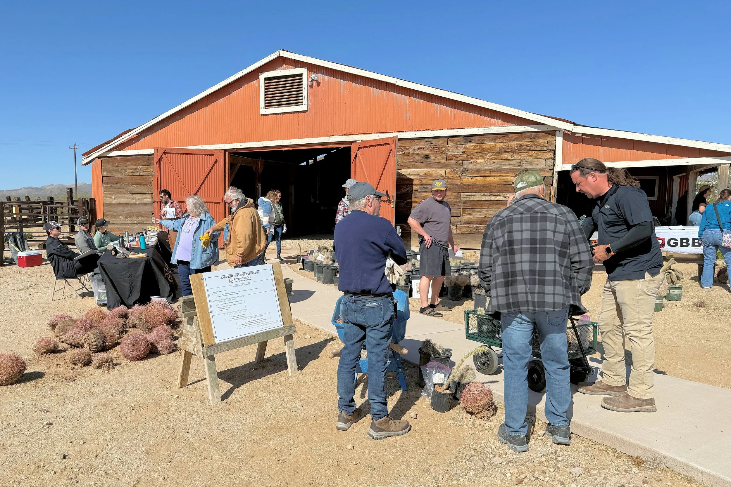 Saturday cactus give-away (3).JPG