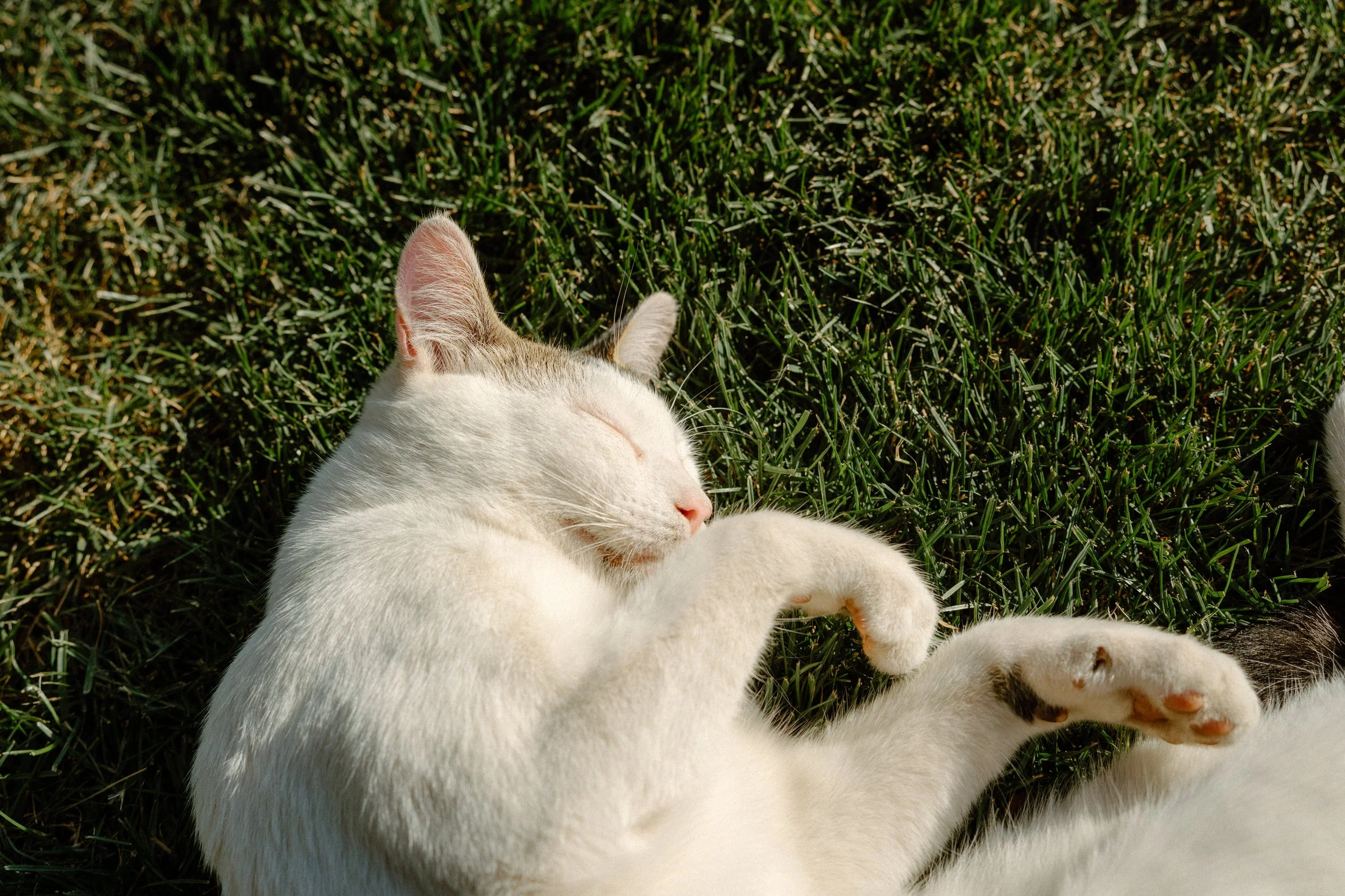 SOUTHERN BBQ-224.jpg