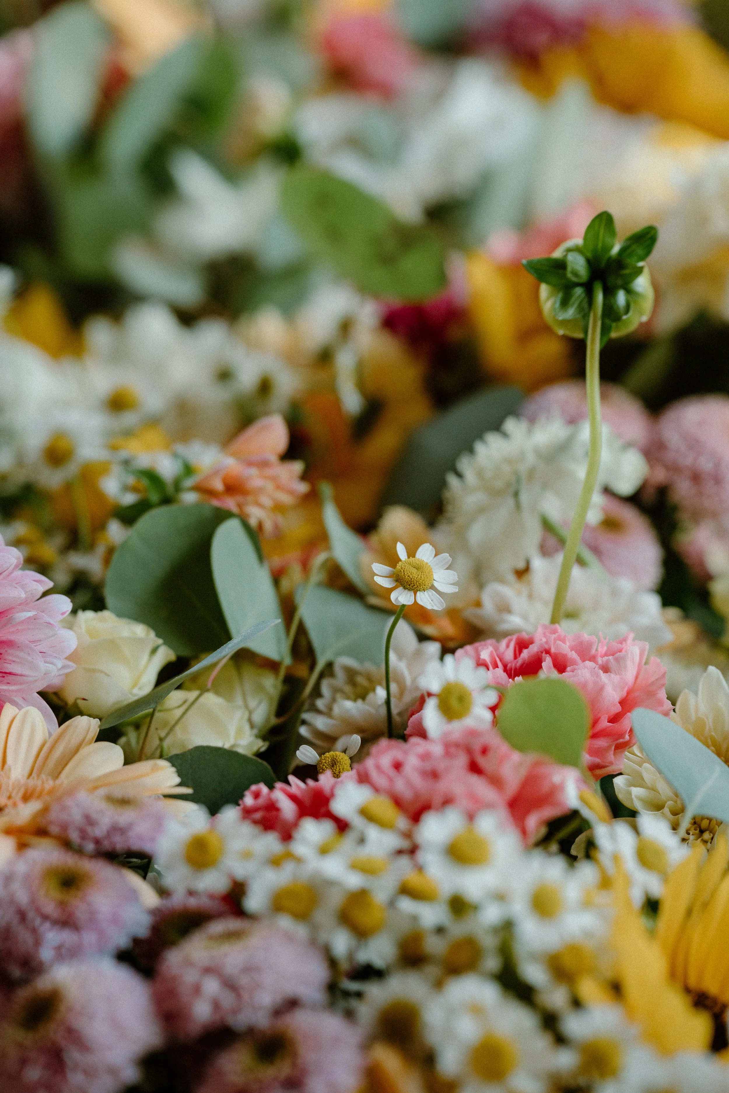 SOUTHERN BBQ-184.jpg