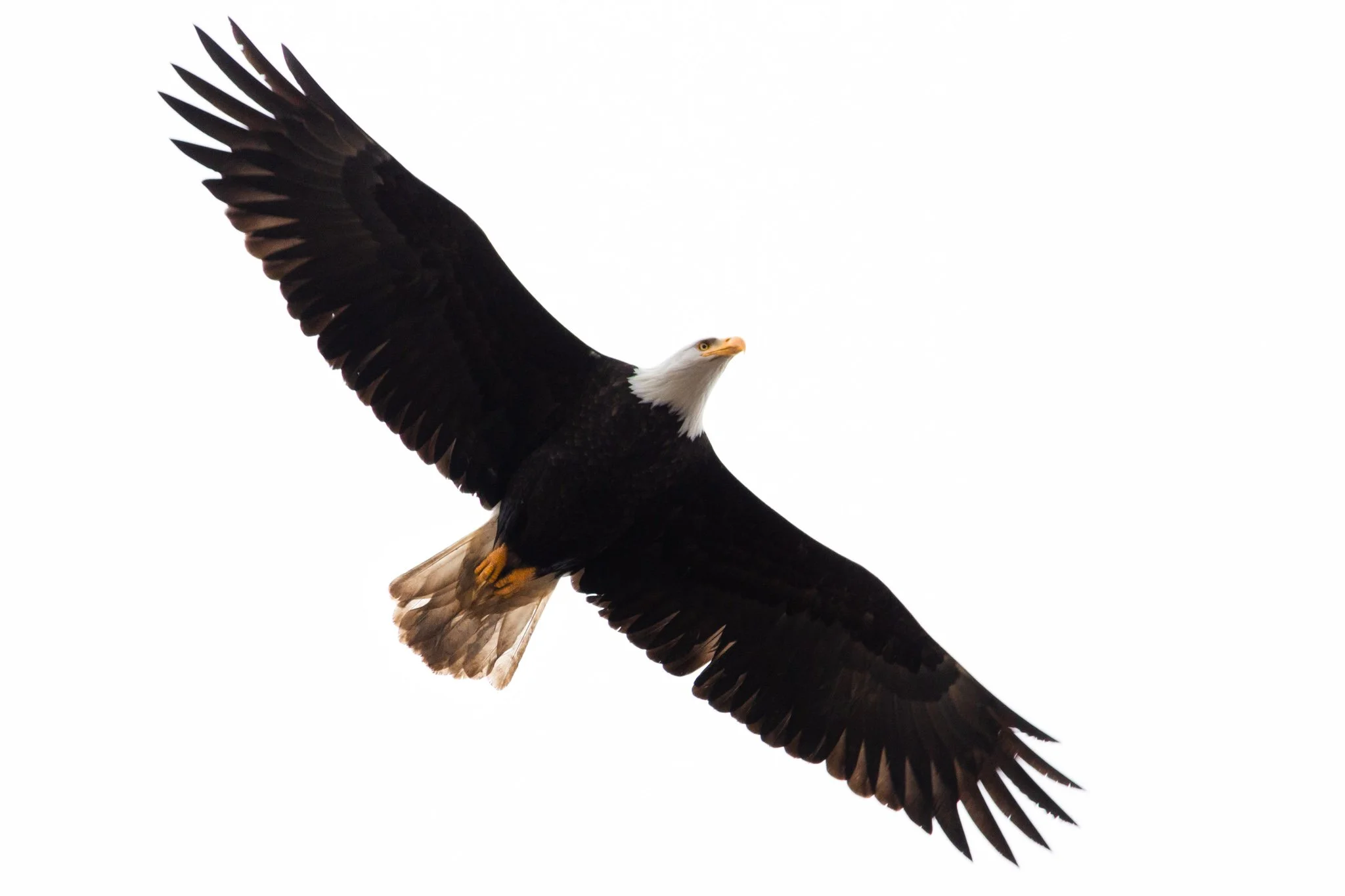 Canon EOS REBEL T3i478.JPG