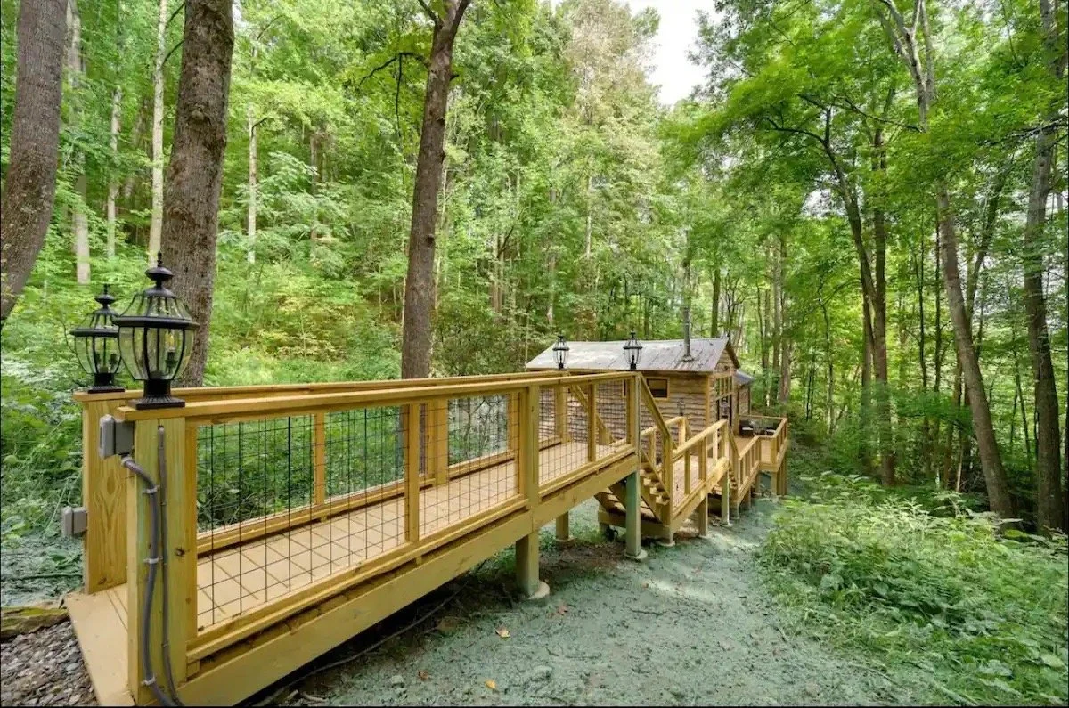 45147289-a41c-4ea8-aab7-b9554ffc935a Large.jpeg