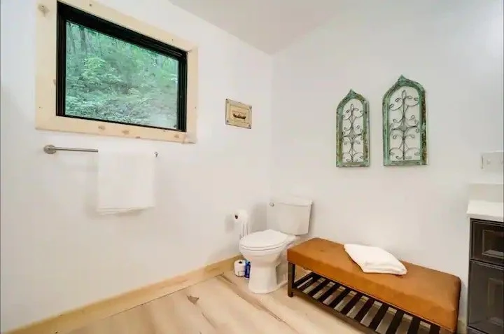 f743ba93-e37d-4fe5-b1b5-a104ccc1b04b Large.jpeg