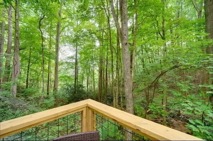 dc5e0fff-49e0-48cf-a54b-d6749c746d28 Large.jpeg