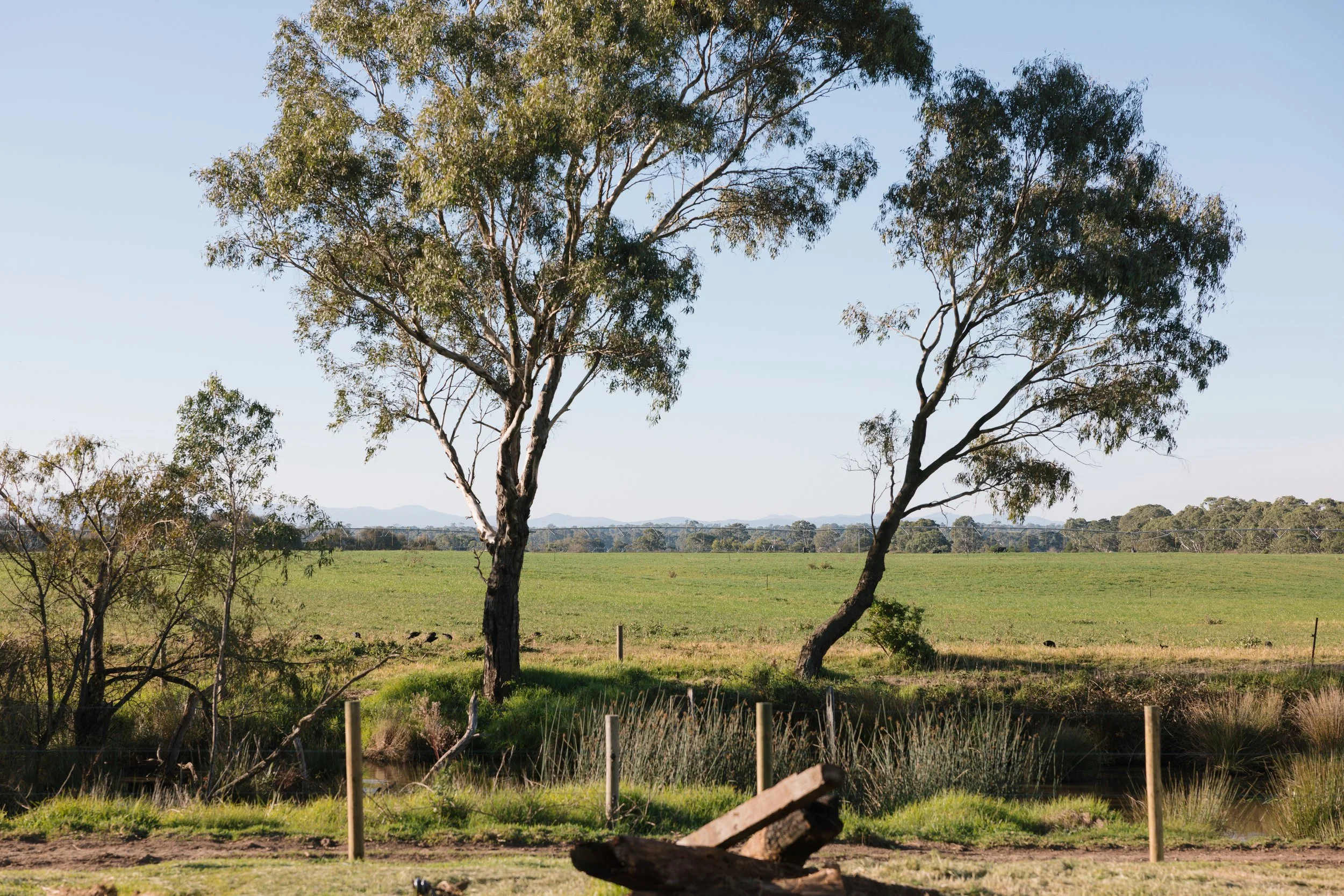 luxury-cabin-near-melbourne_Mountain_View_SOKL-1.jpg