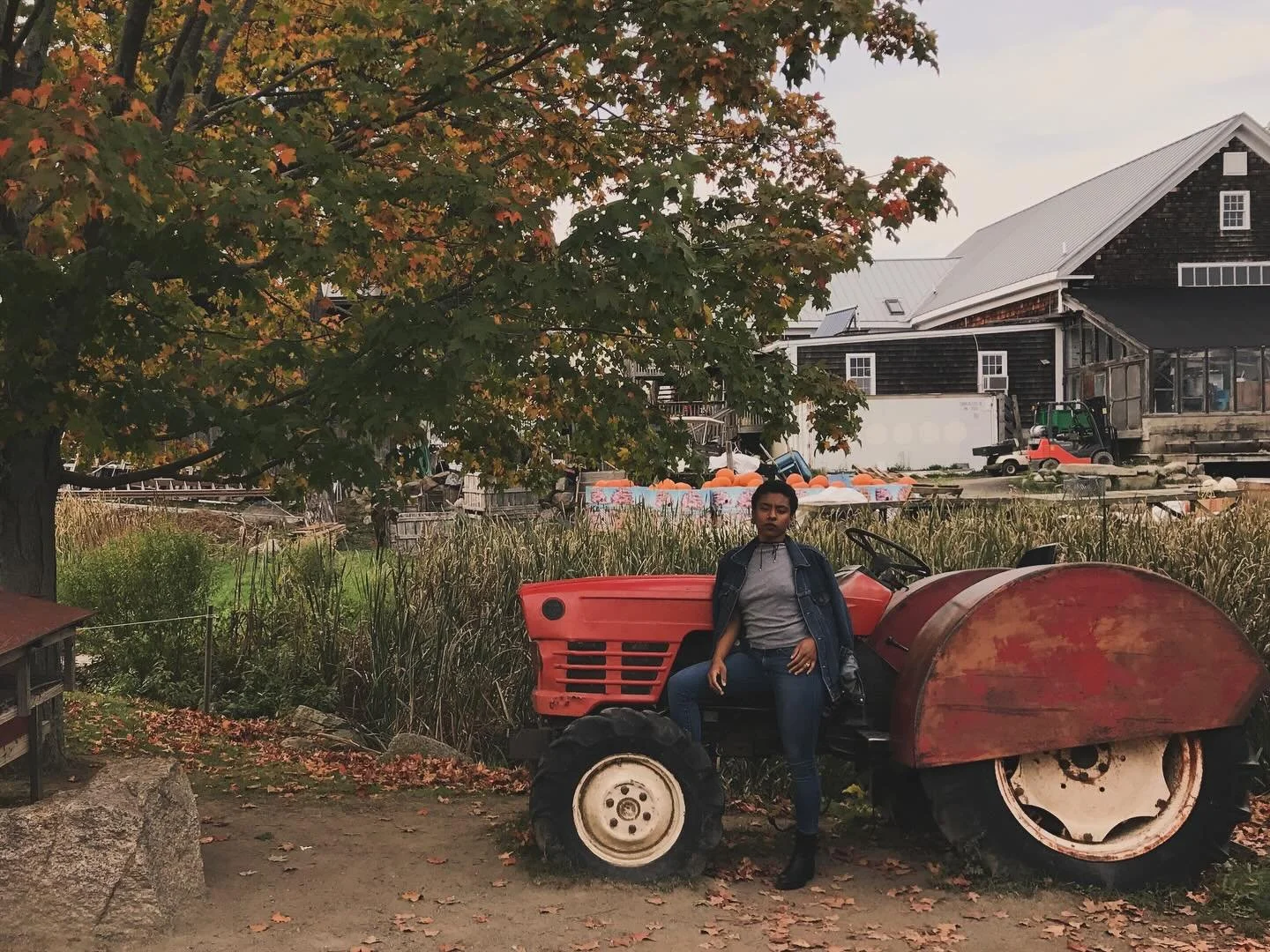 🍁
8 years ago today.
I was a bad bitch 
with a bad attitude. 
I paid my dues
Evolution;
Now, I am the Fairy
you can not fuck with🔪🙂&zwj;↕️
🧚🏾&zwj;♀️🎢🎠☀️⚜️
#intuitiveliving #easeforaina