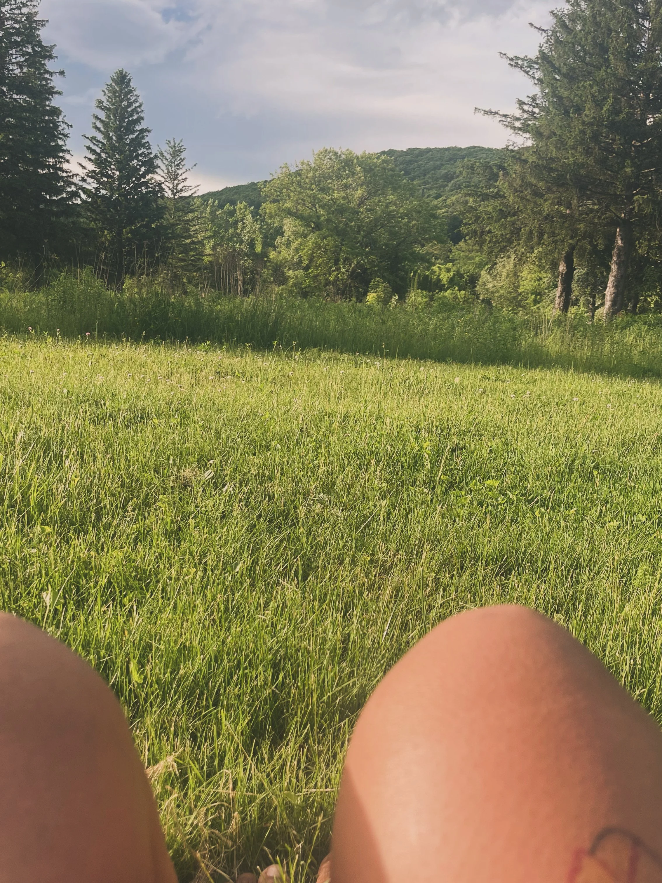 In the tall grass