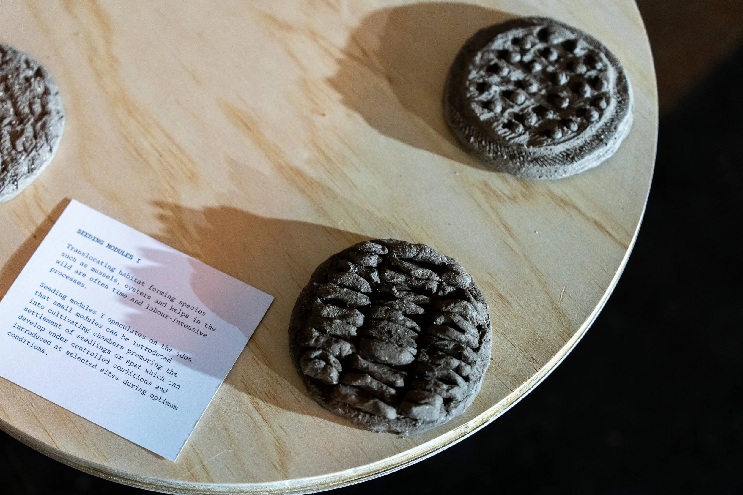 Acquatic Habitats.jpeg