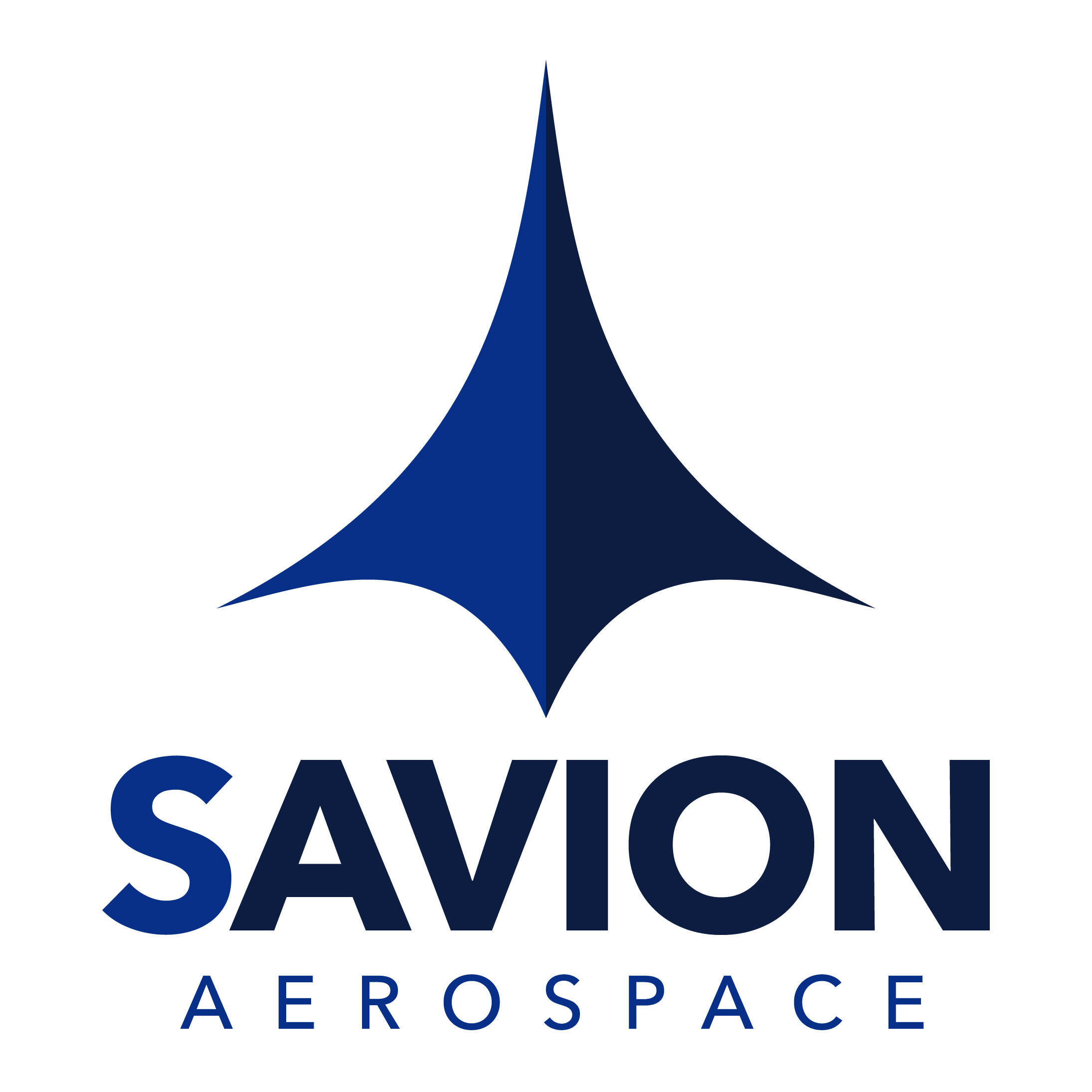 savion-logo-alt - Jonathan Gibbs.png