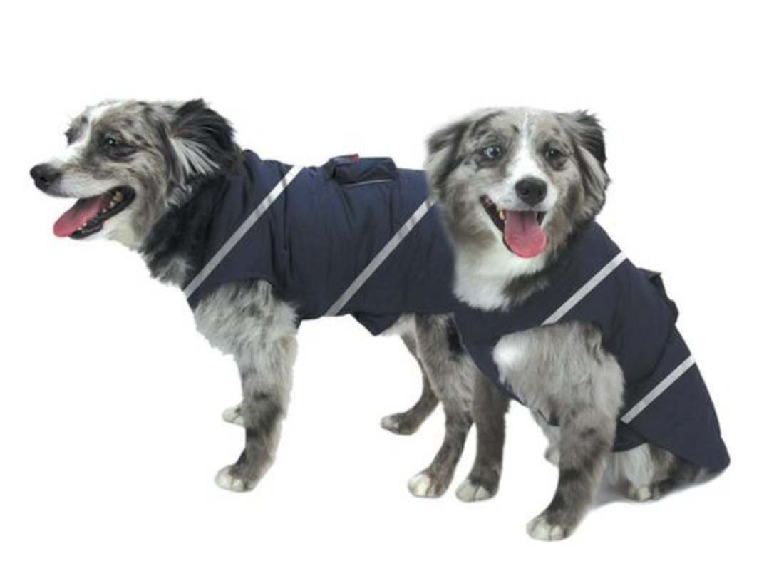 The 4 Best Warm Heated Dog Jackets