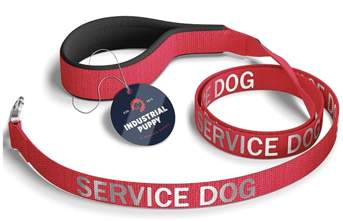 6 Of The Best Service Dog Leashes