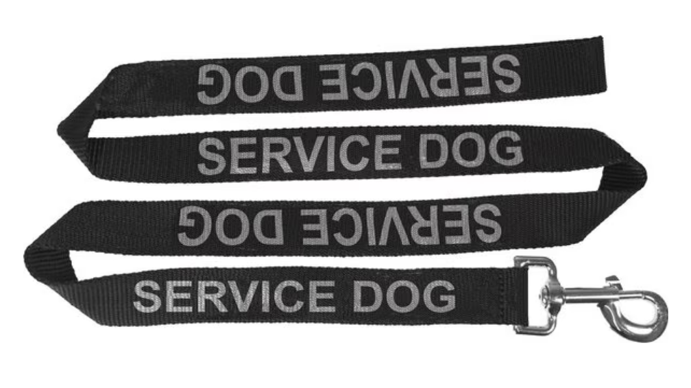 6 Of The Best Service Dog Leashes