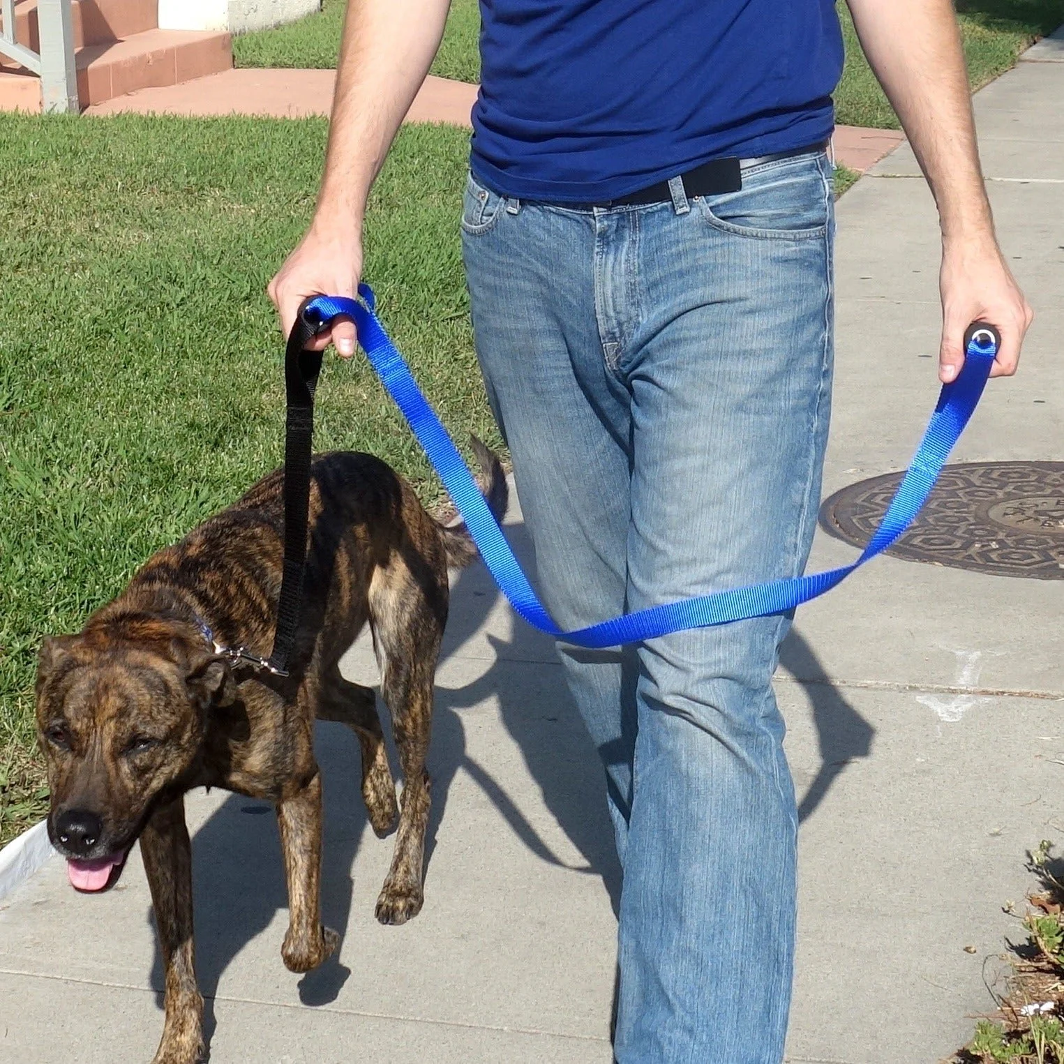 5 Benefits of a Double Handle Dog Leash