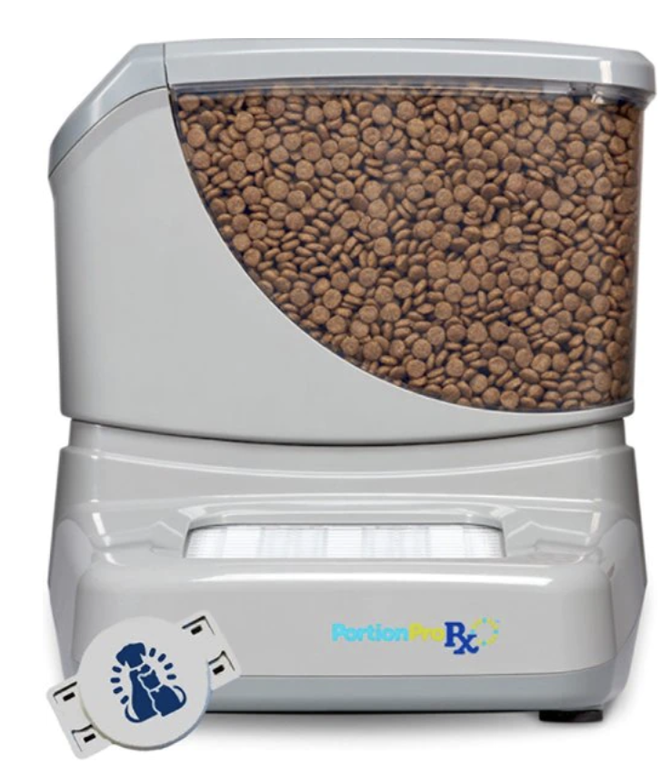 The 3 Best Collar Activated Cat Feeders