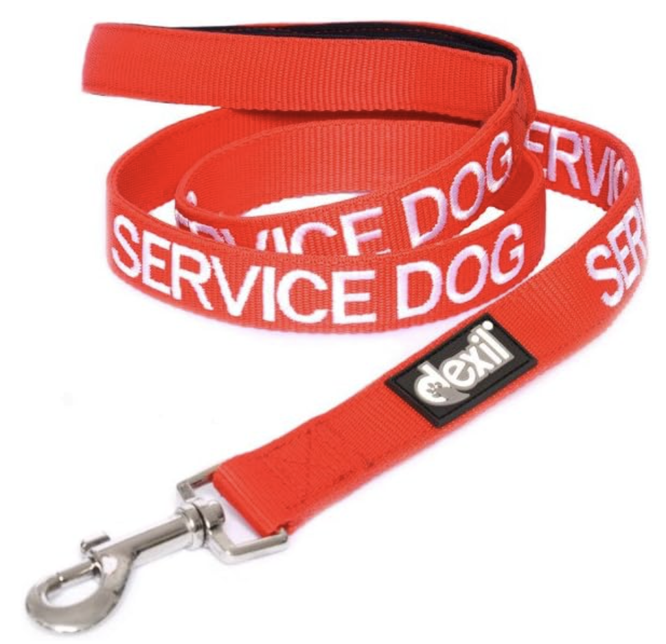 6 Of The Best Service Dog Leashes
