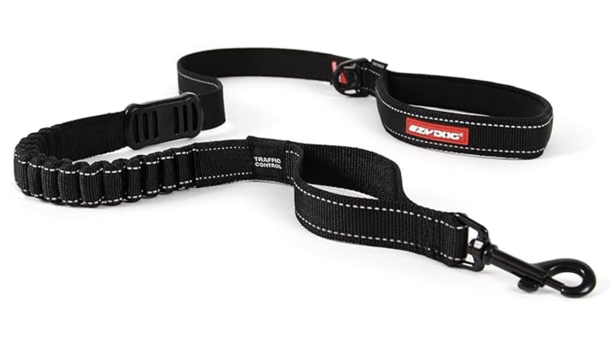 The Best 6 Bungee Dog Leashes