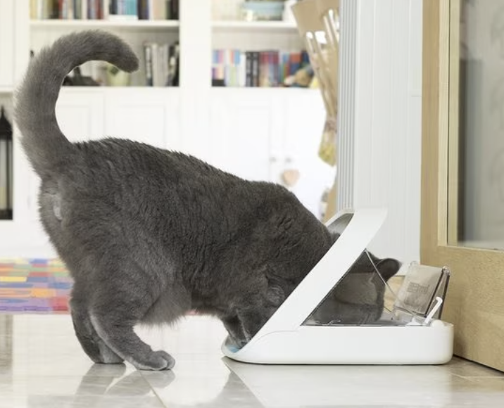 The 3 Best Collar Activated Cat Feeders