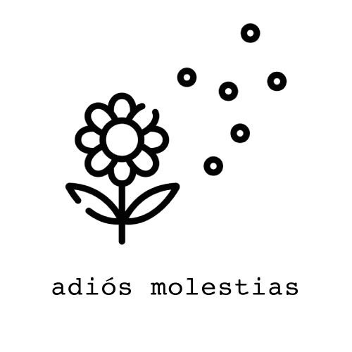 Título de la publicación de blog cuatro