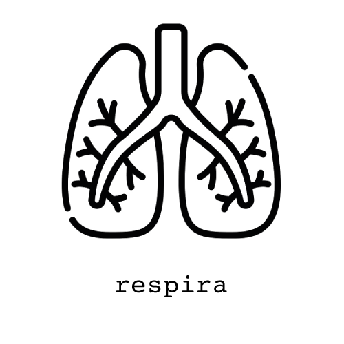 Título de la publicación de blog tres