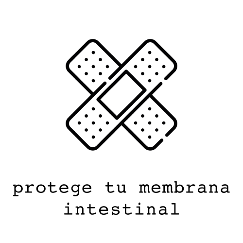 Título de la publicación de blog cuatro