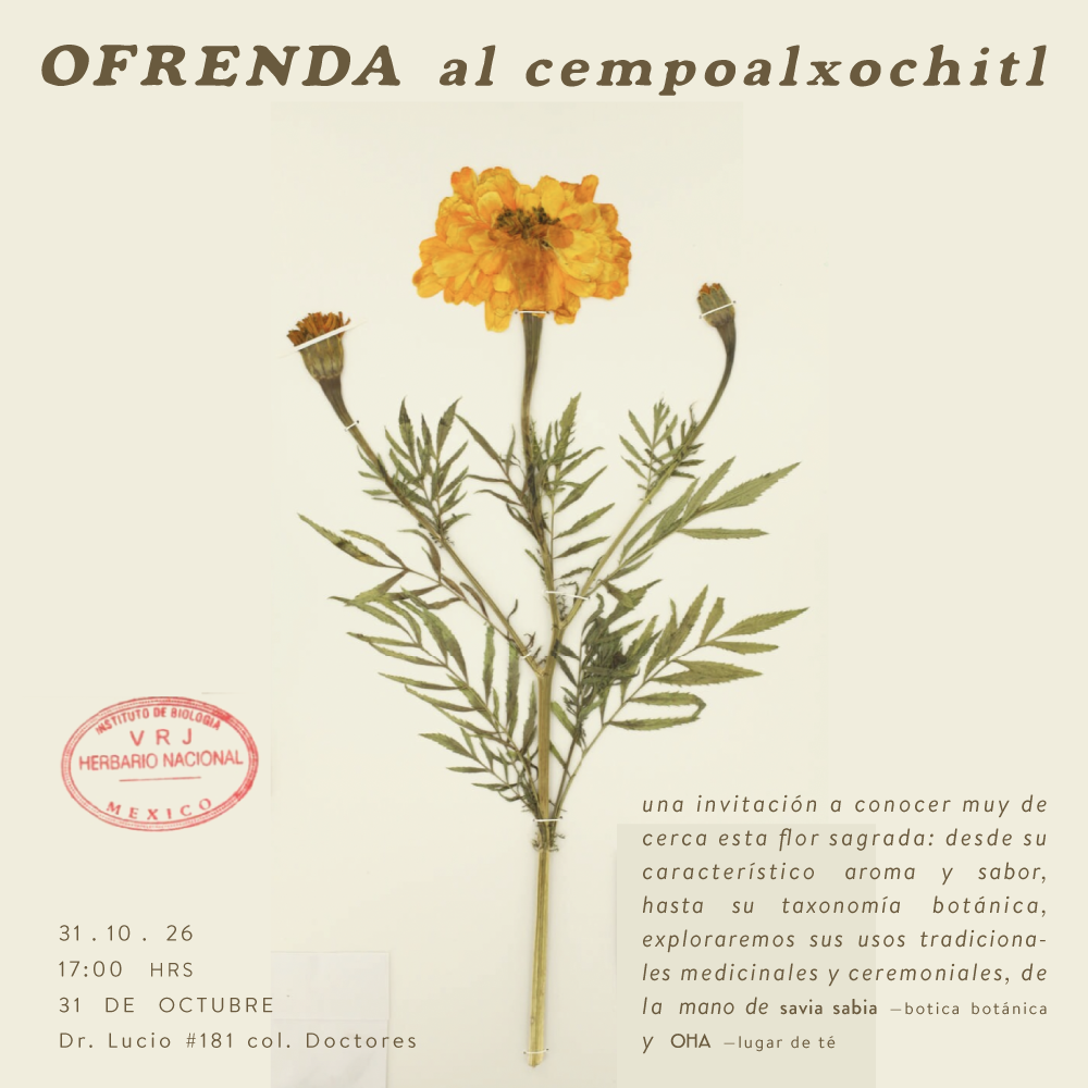 ofrenda al cempoalxochitl