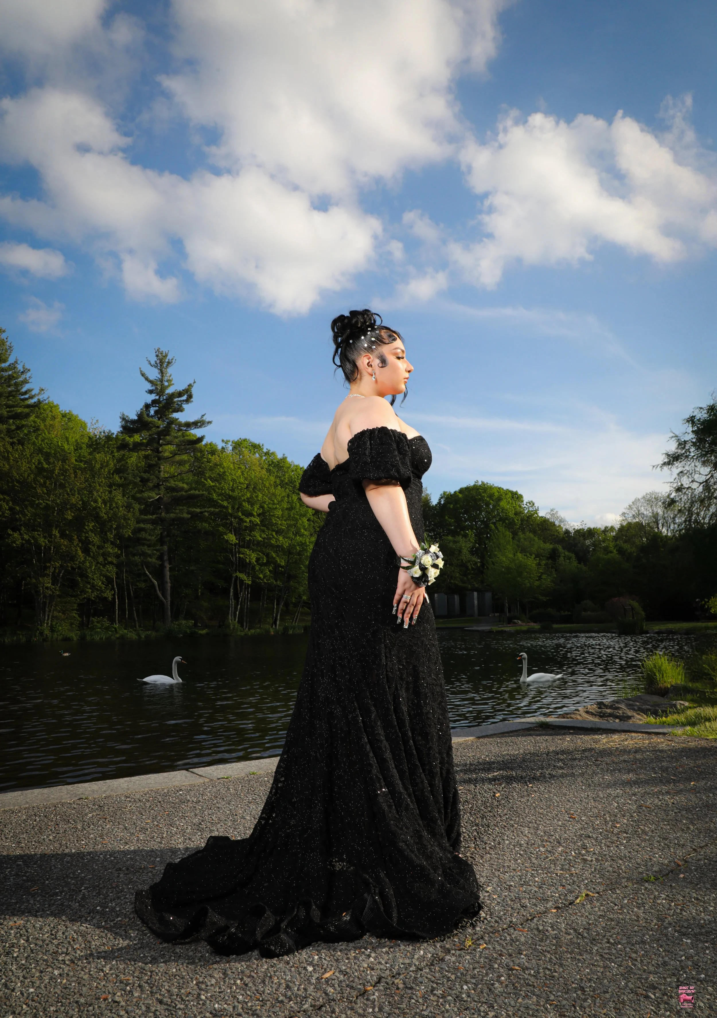 A woman in a long black dress with puffed sleeves, standing near a lake with swans, green trees, and a blue sky with clouds in the background.