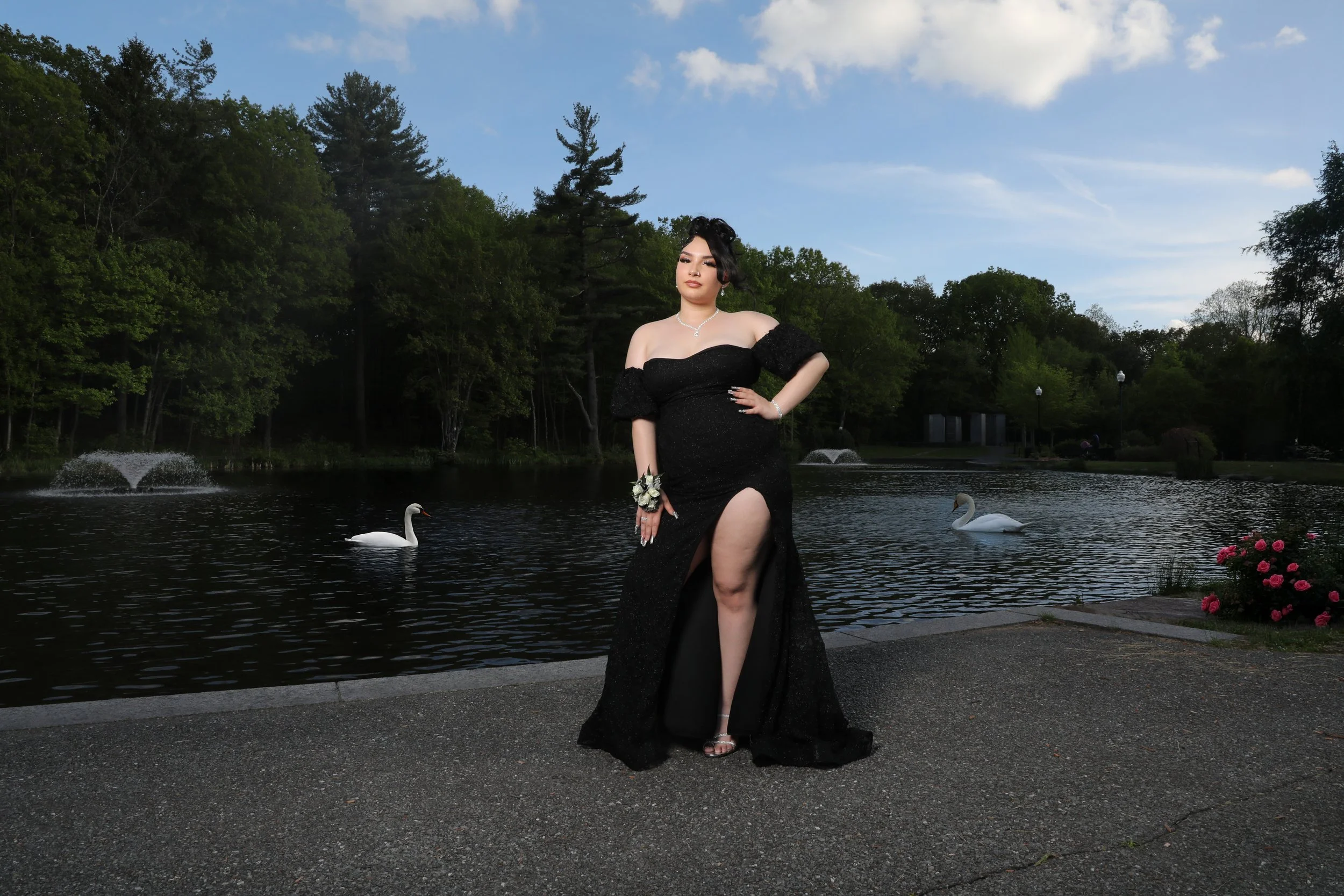 A woman in a black evening gown standing by a pond with swans, trees, and a partly cloudy sky in the background.