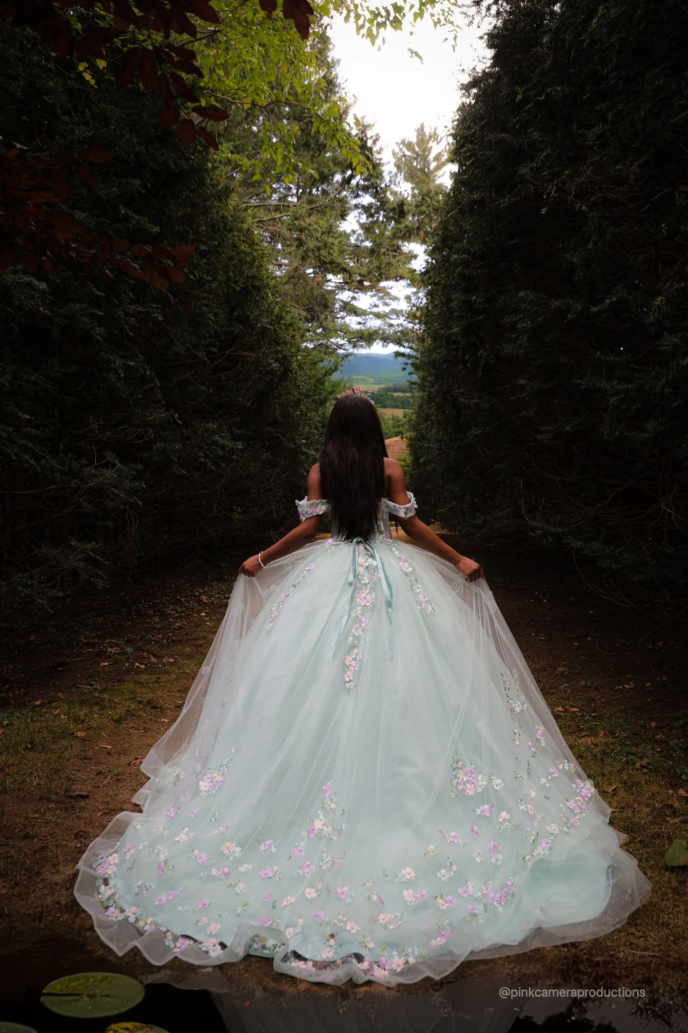 A woman in a light blue ball gown with floral embroidery stands in a wooded area, facing away from the camera, holding the sides of her dress. The dress trails behind her on the ground, and she has long dark hair and is wearing a tiara. The scene is 