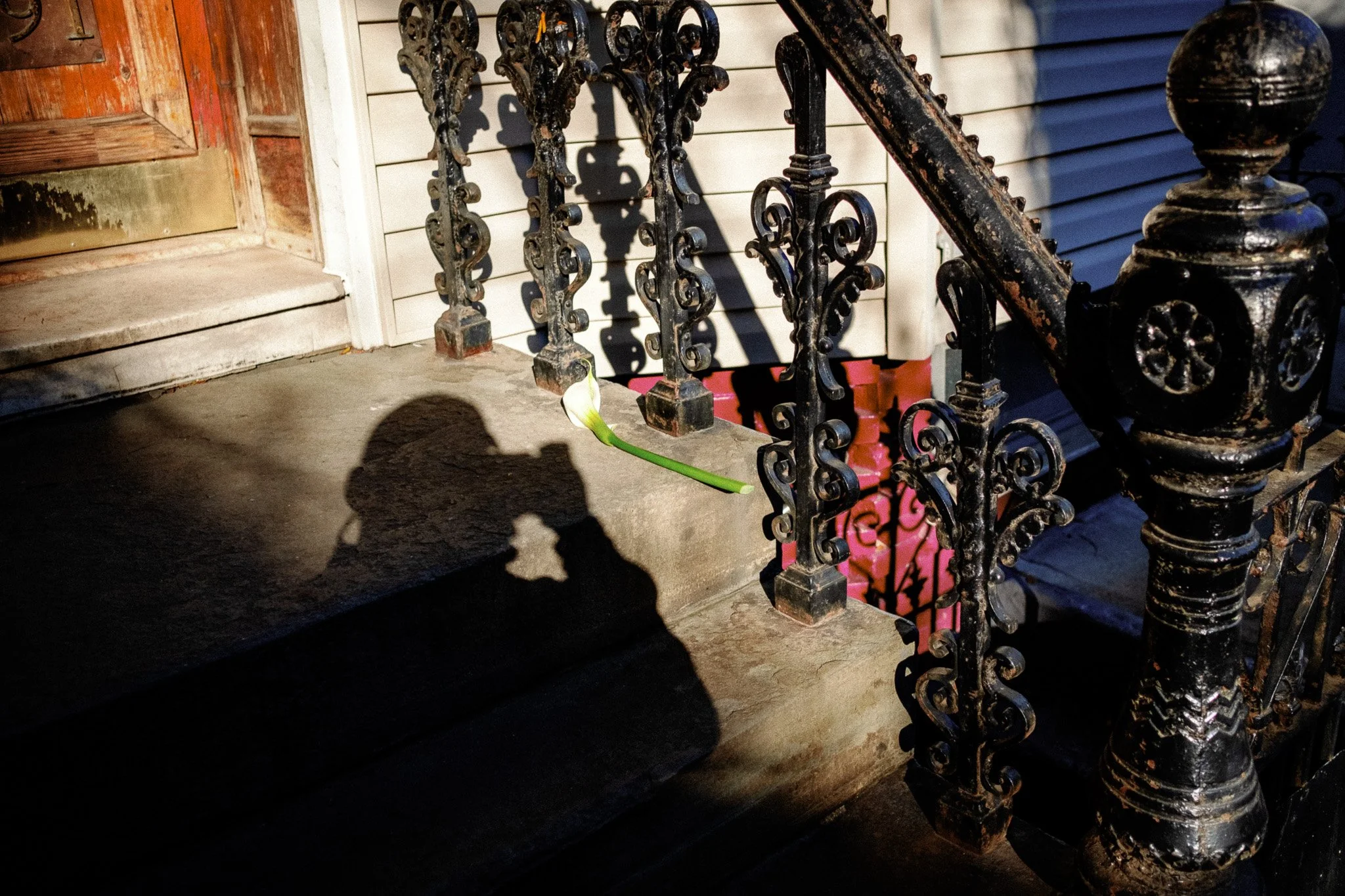 DSCF9657.jpg