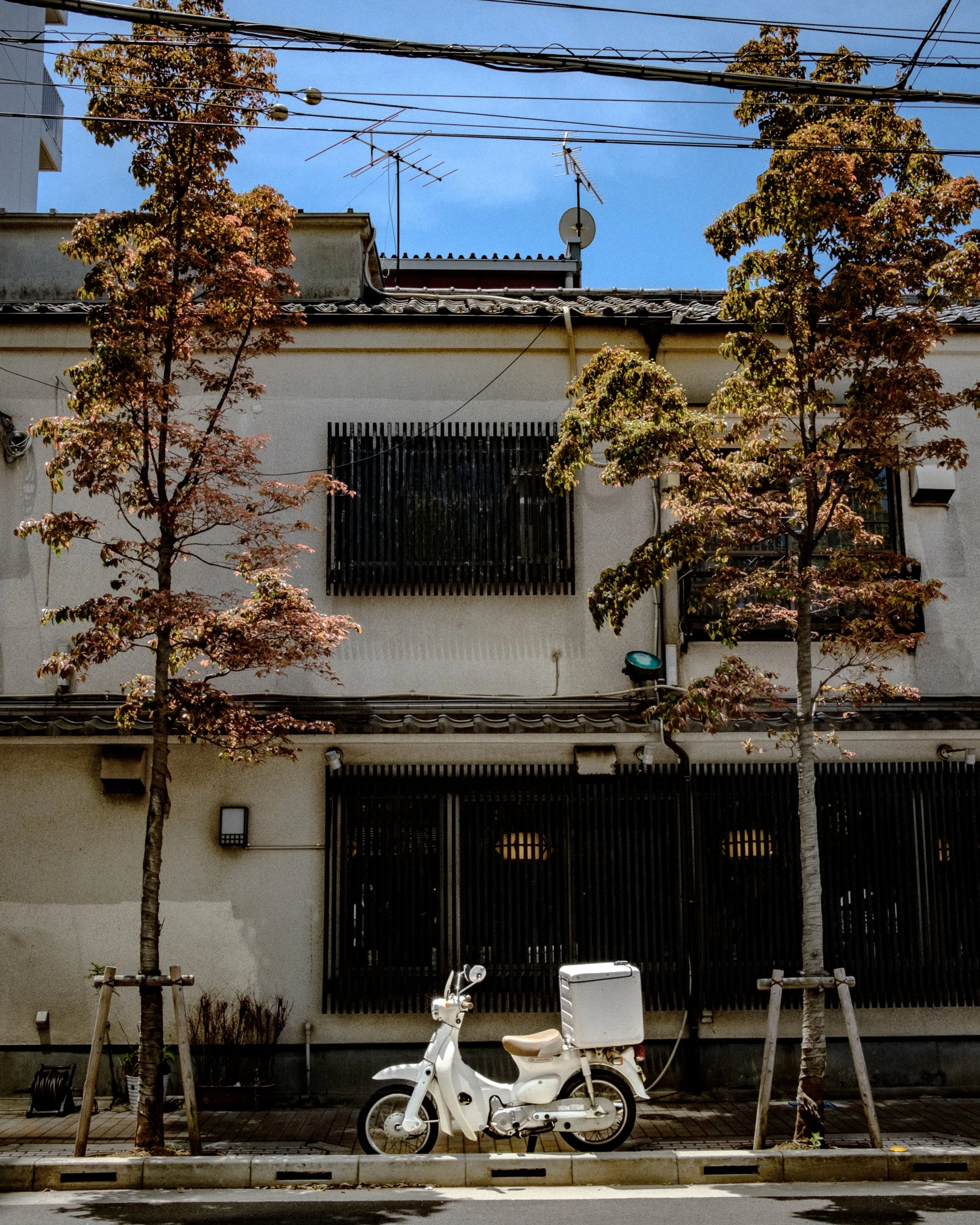 DSCF0612.jpg