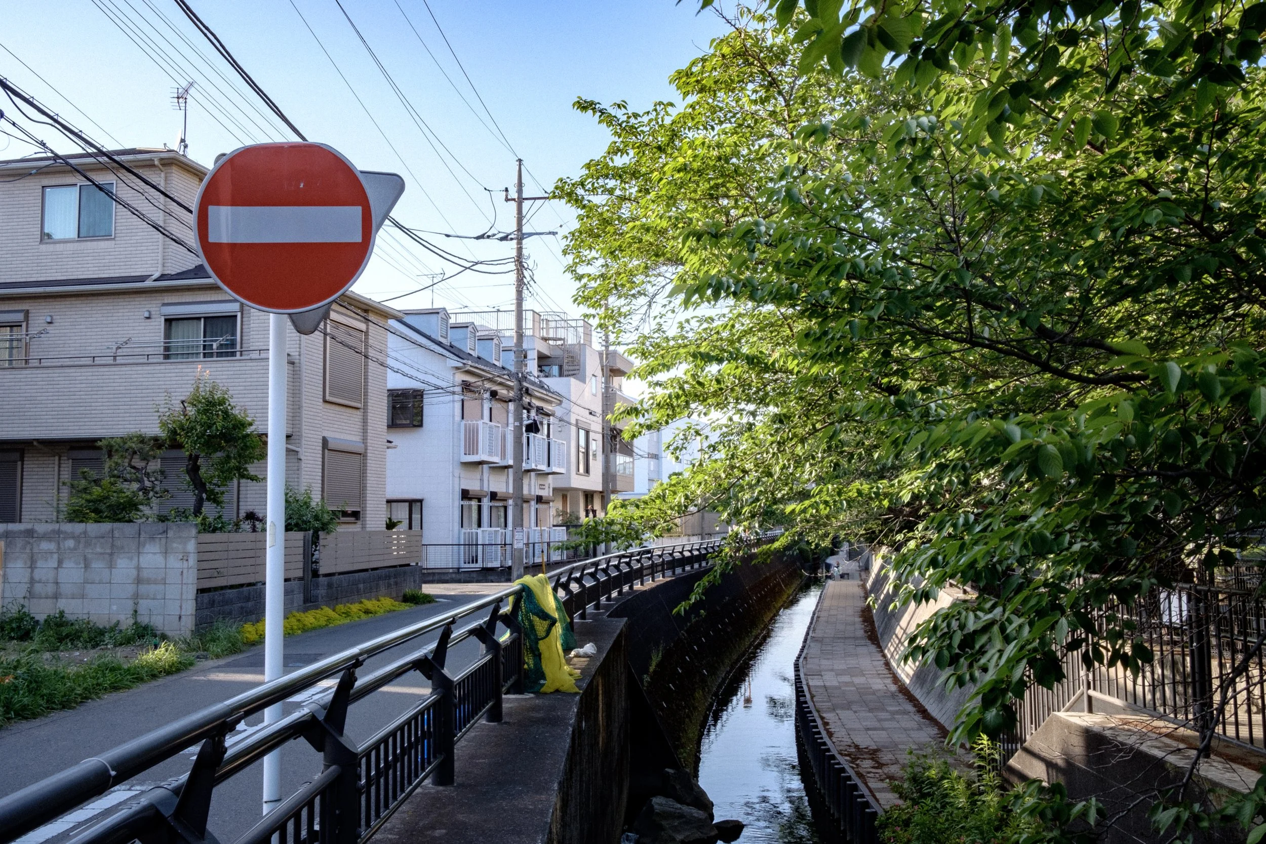 DSCF0473.jpg