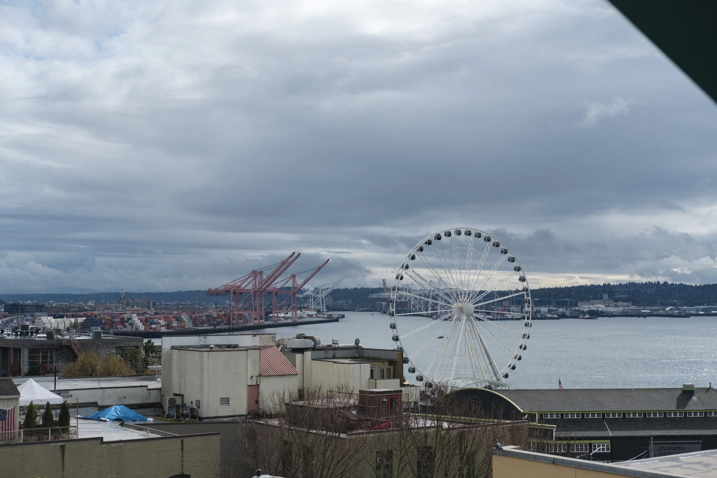 DSCF9915.jpg
