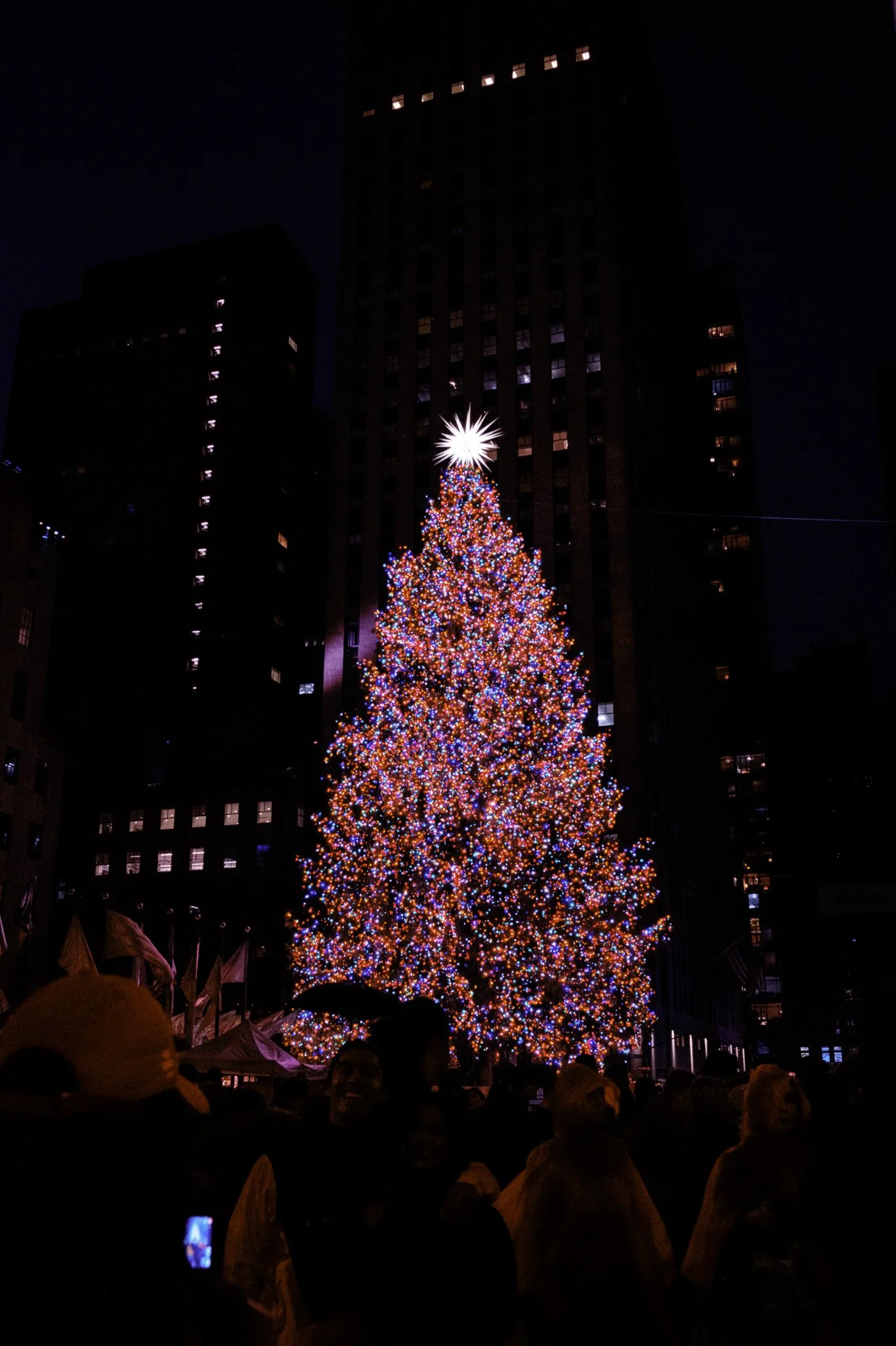 DSCF9696.jpg