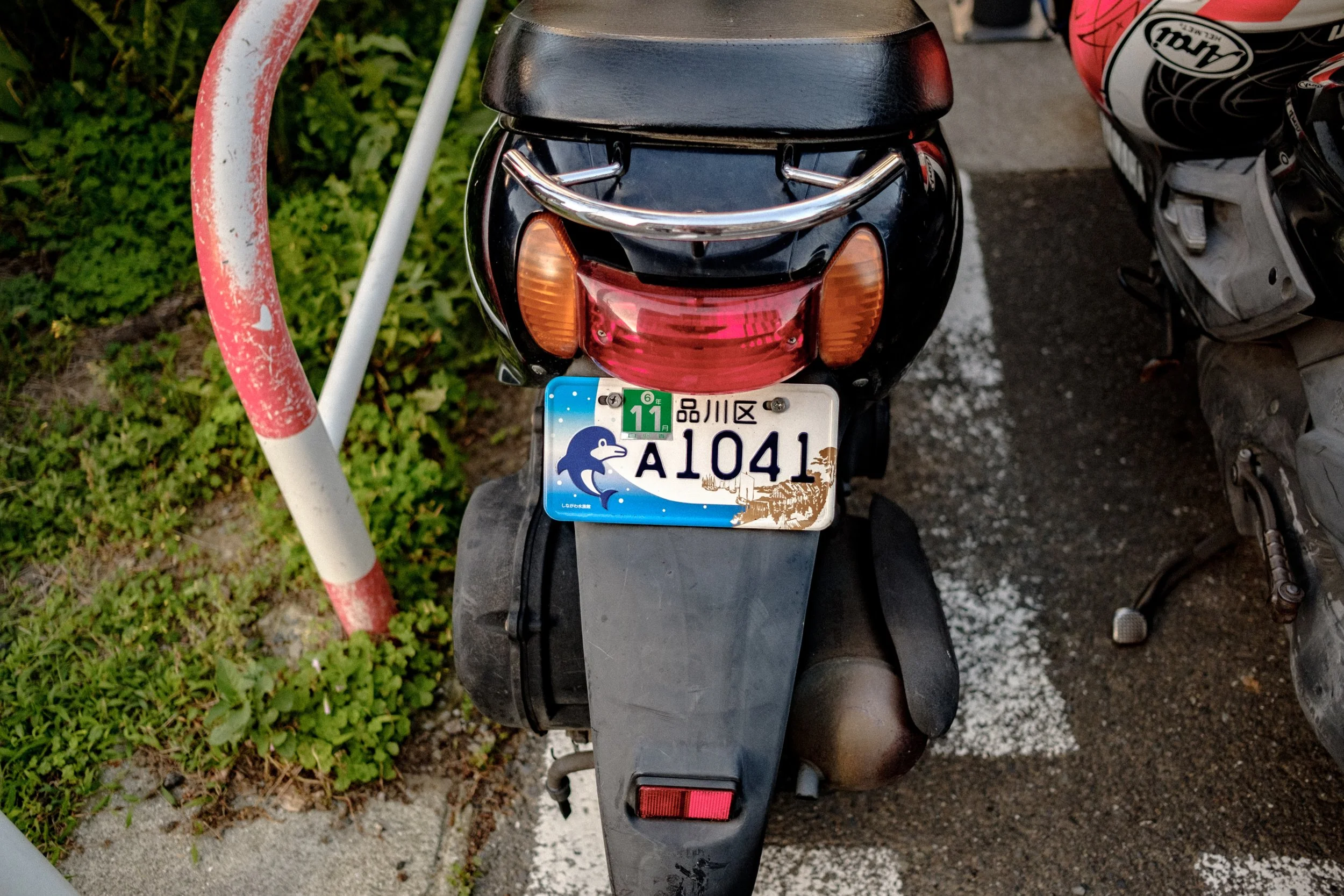 DSCF0478.jpg