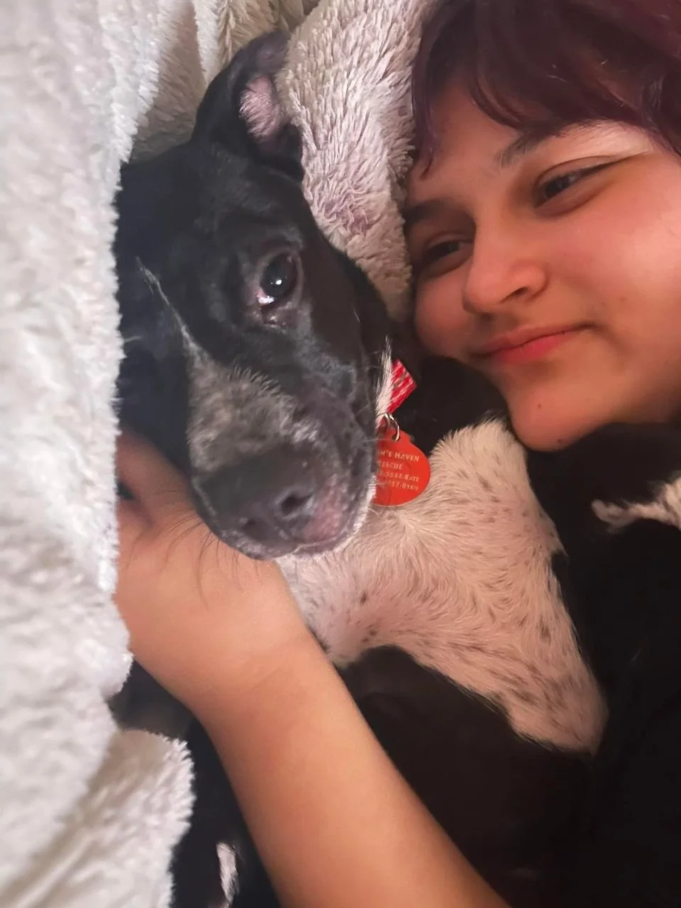 Brooklyn Forever.jpeg