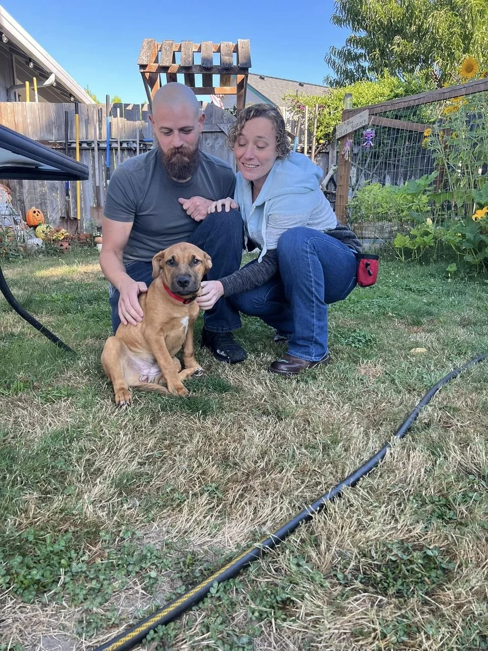 Scarlett Forever.jpeg