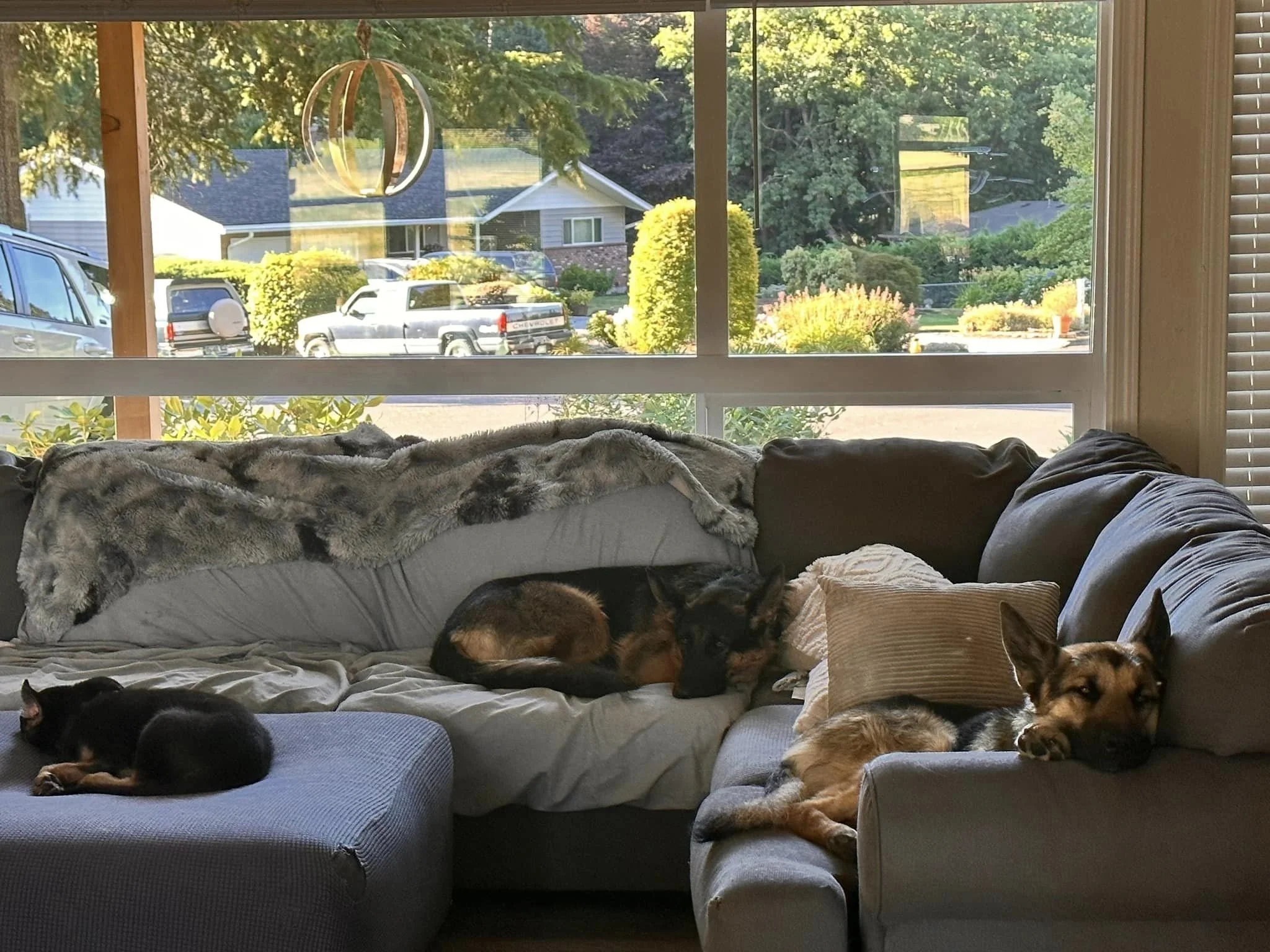 Hank:Doug Forever.jpeg