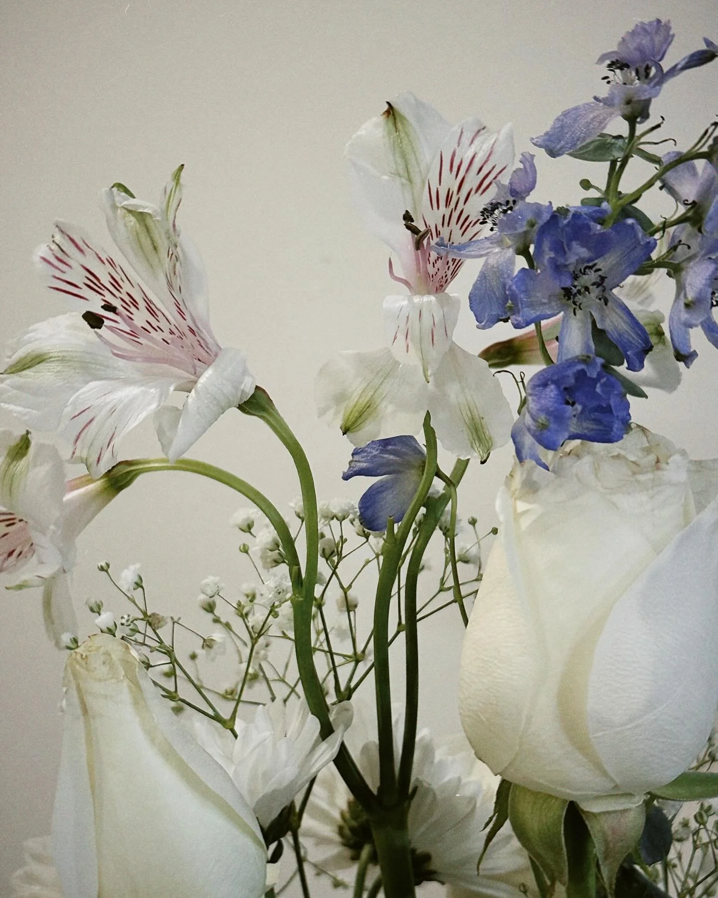 I have a lot of work to do in the coming new year, but determination and faith will prevail. My priorities are improving my health and spirituality&mdash;two aspects I neglected this year. I&rsquo;ve been hard on myself about things beyond my control