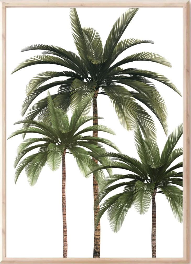 Three palm trees with long, slender trunks and large, green, fan-shaped leaves framed in wood.