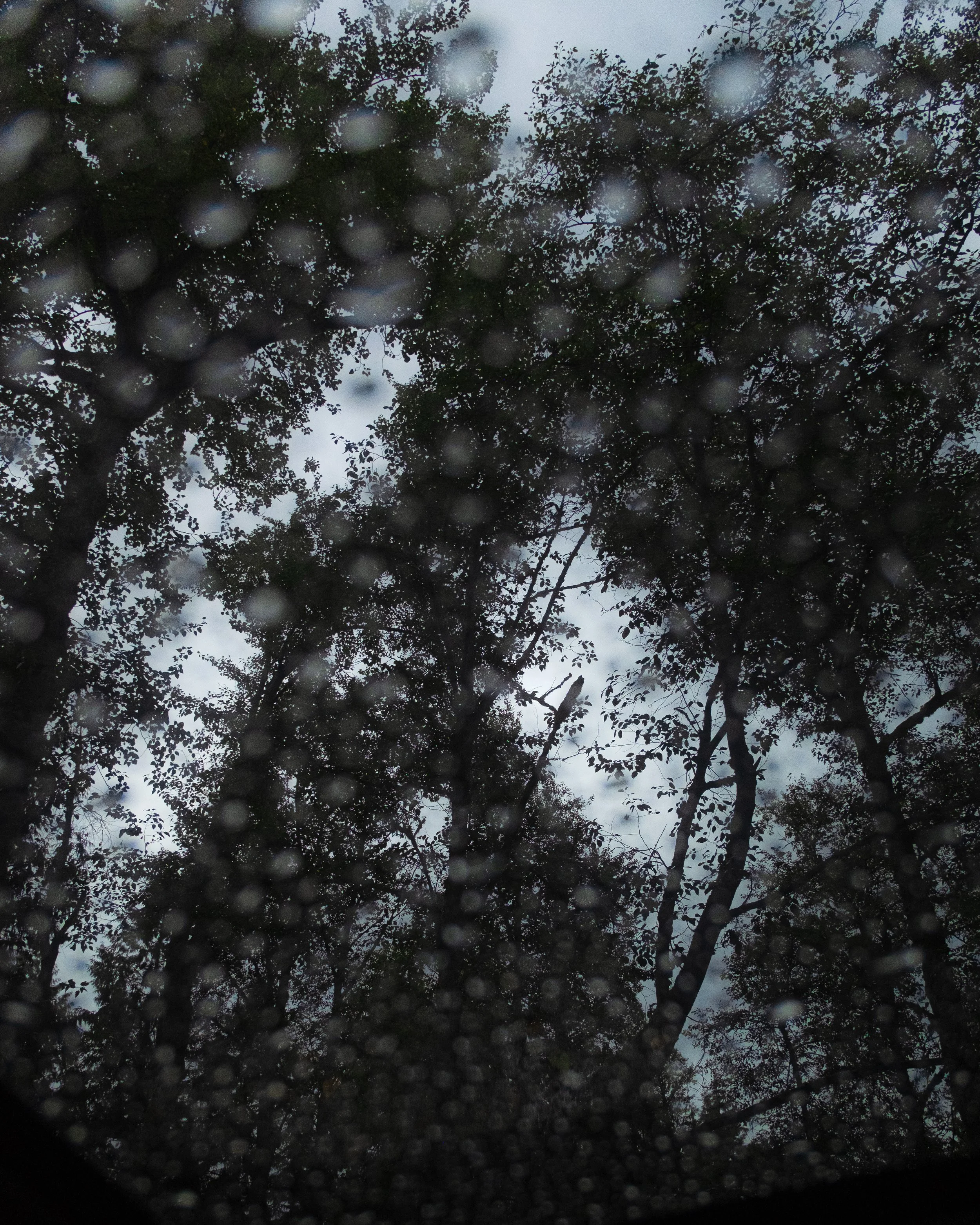 DSCF5872.jpg