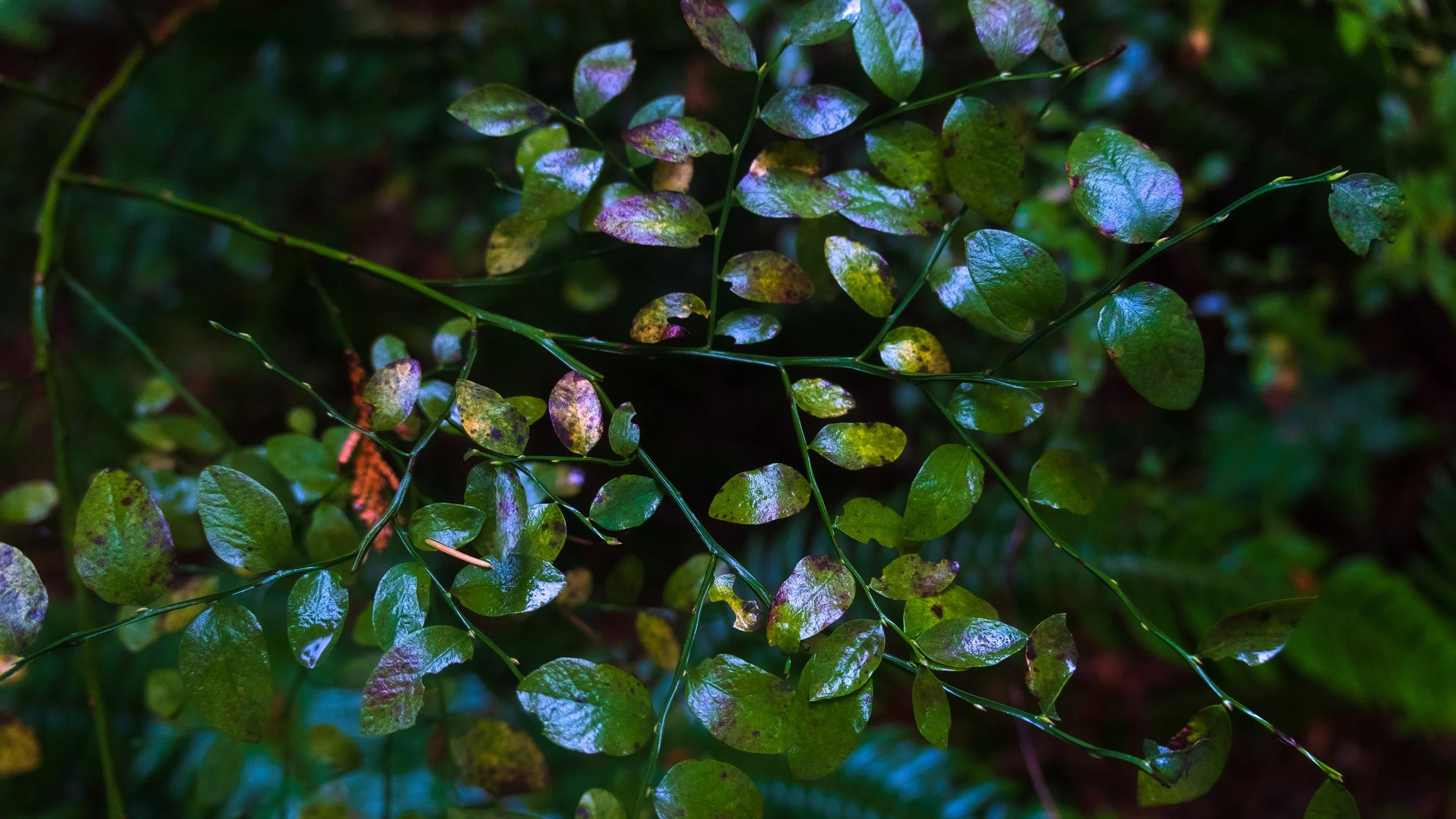 DSCF5847.jpg