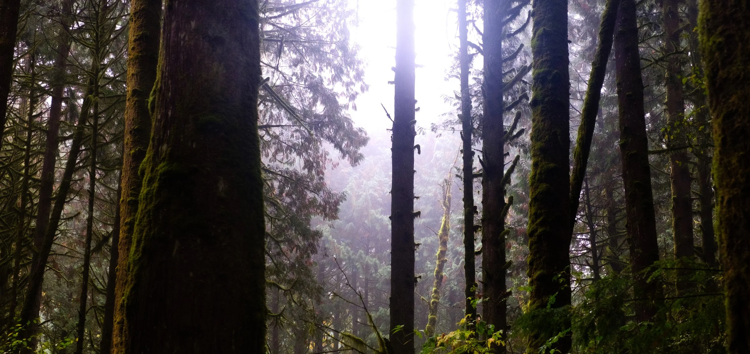 DSCF6612.jpg