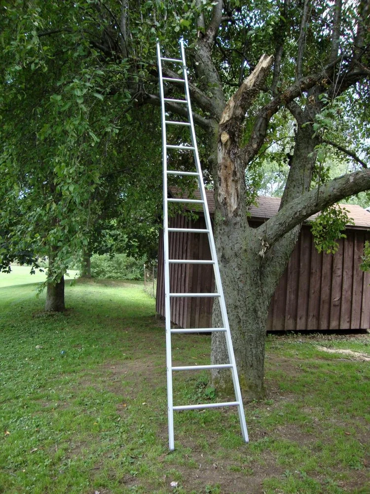 Aluminum Orchard Ladders — Metallic Ladder