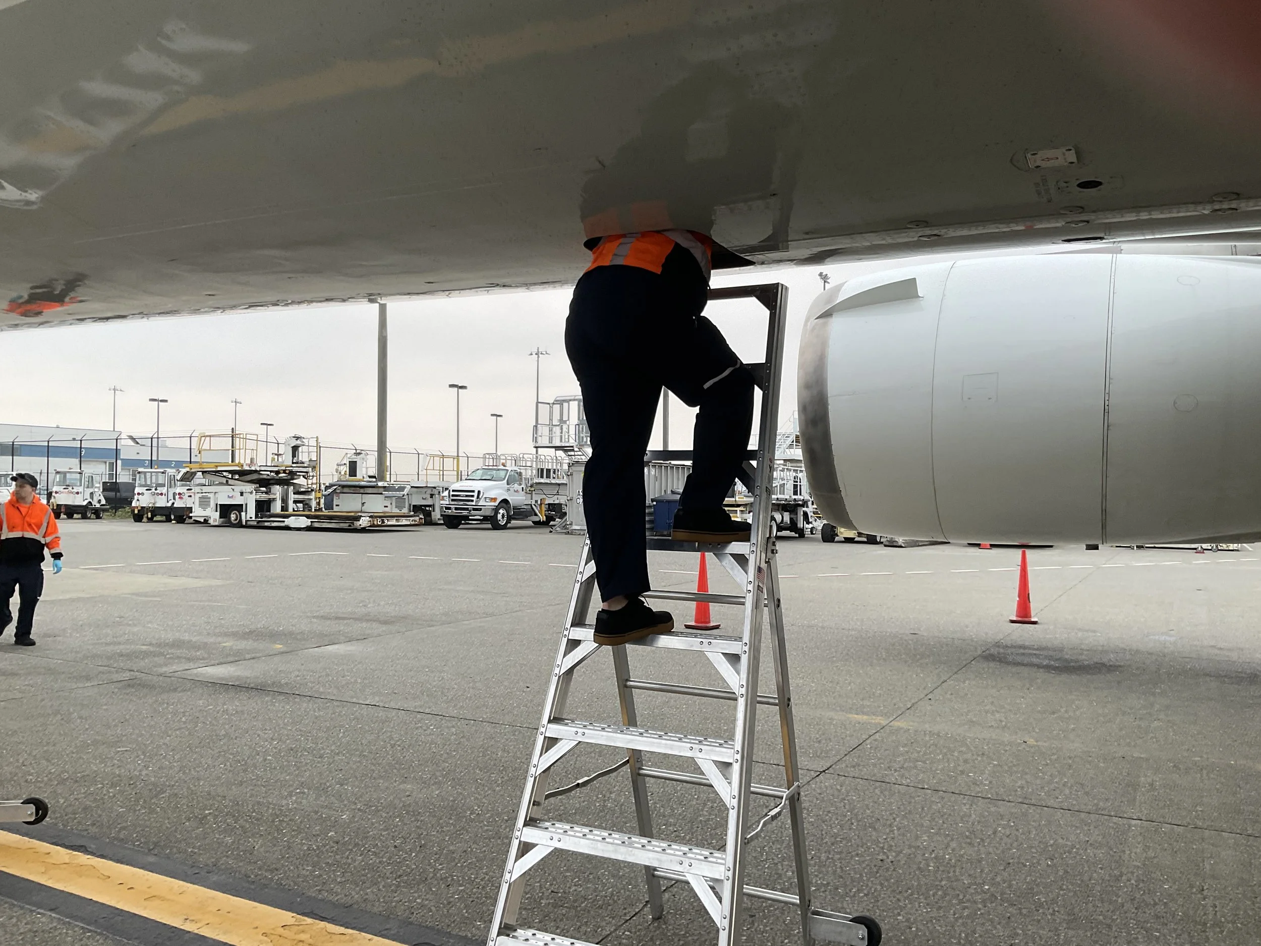 AeroLadder in EE.jpg