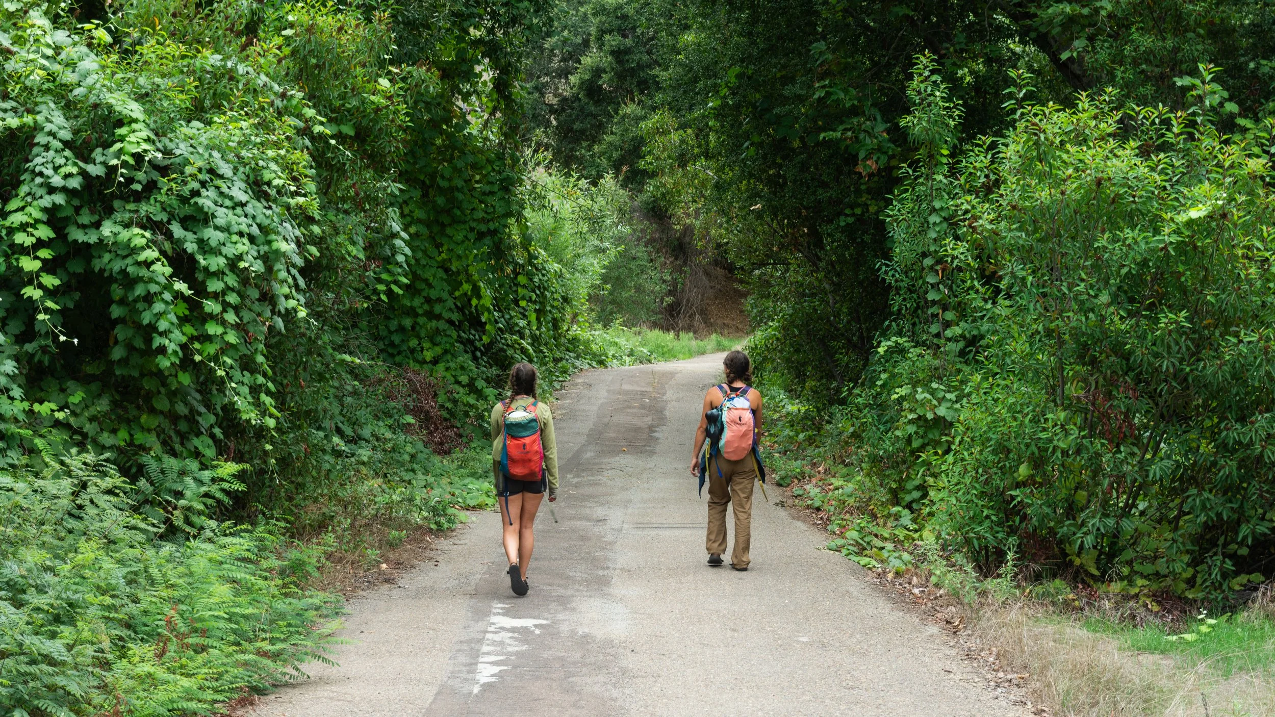 El Cajon Mtn - Meteor