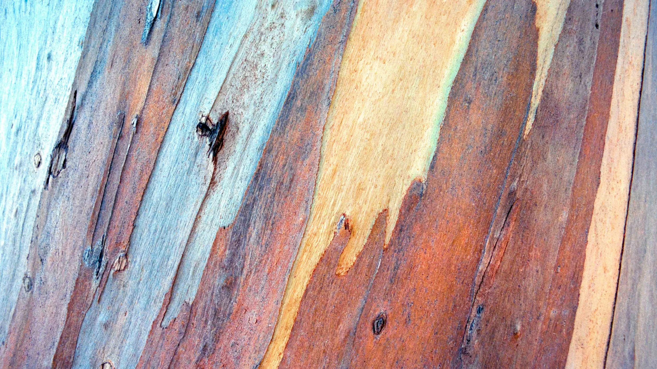 135 kodak portra 400