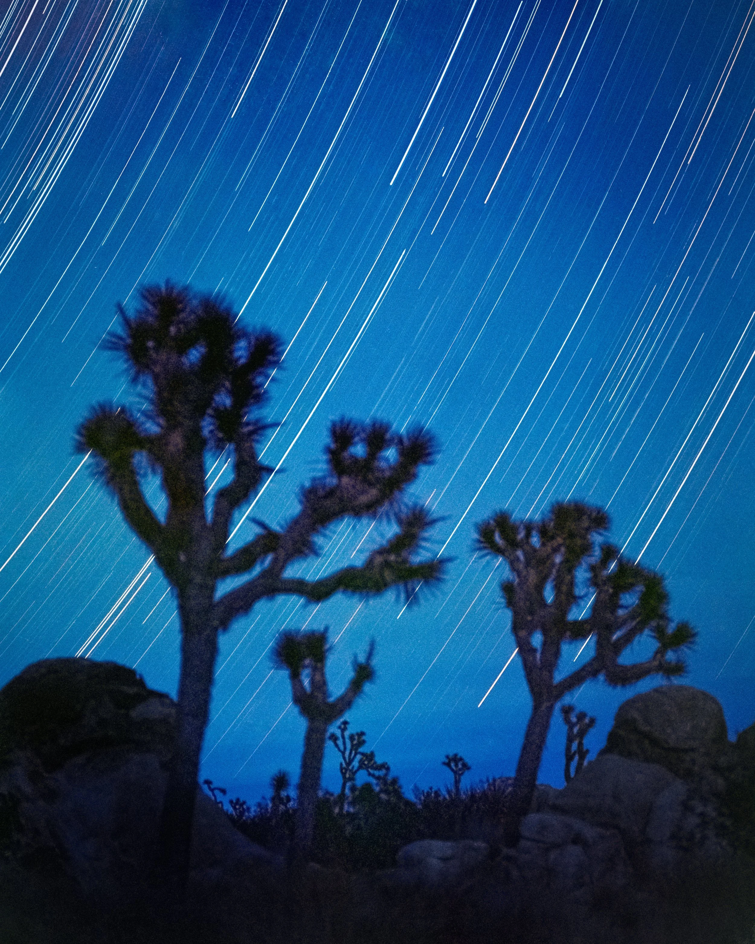 portfolio-places-desert-0033.jpg
