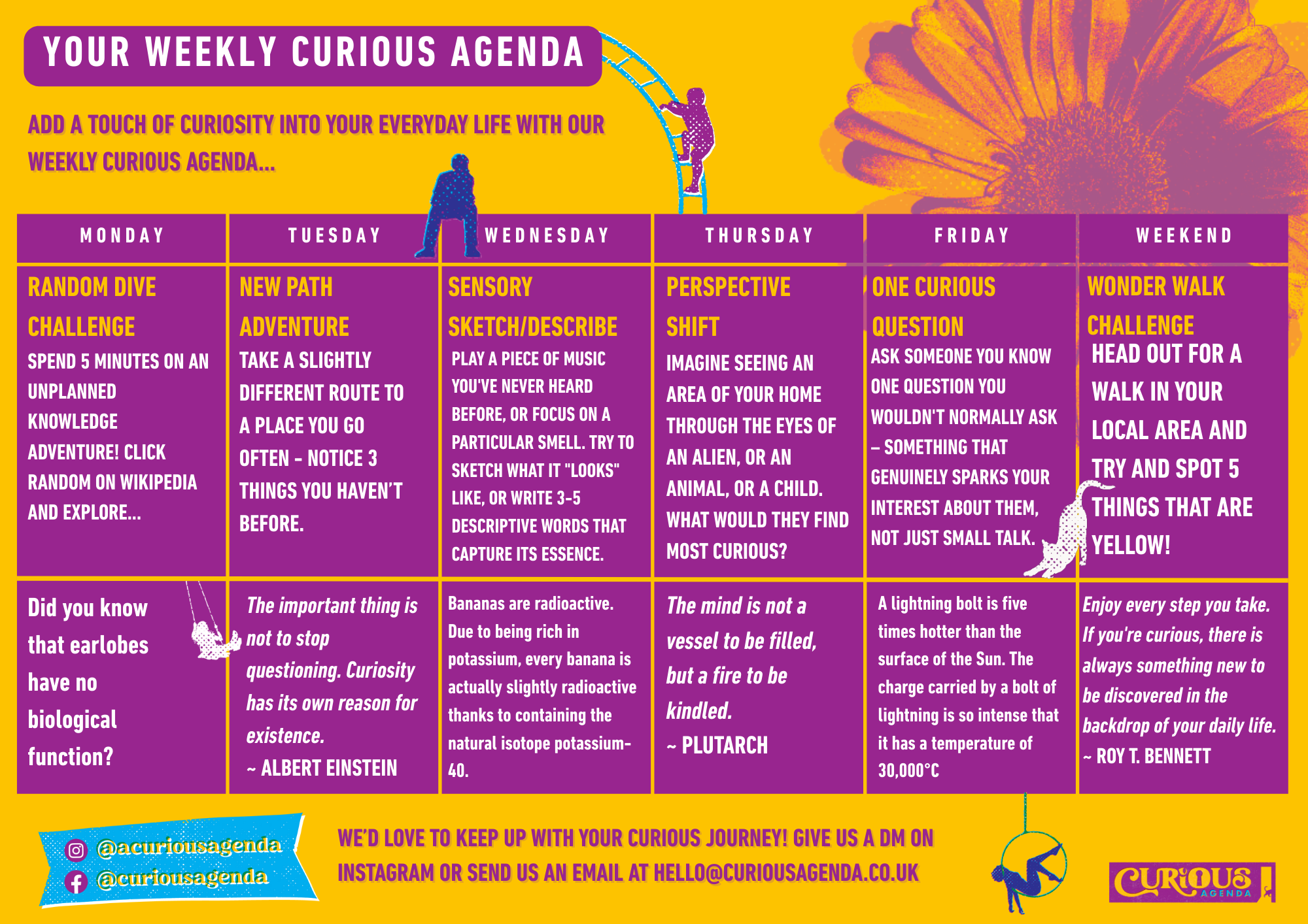 Your Weekly Curious Agenda