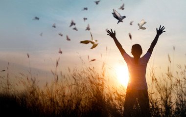 Feeding your Soul